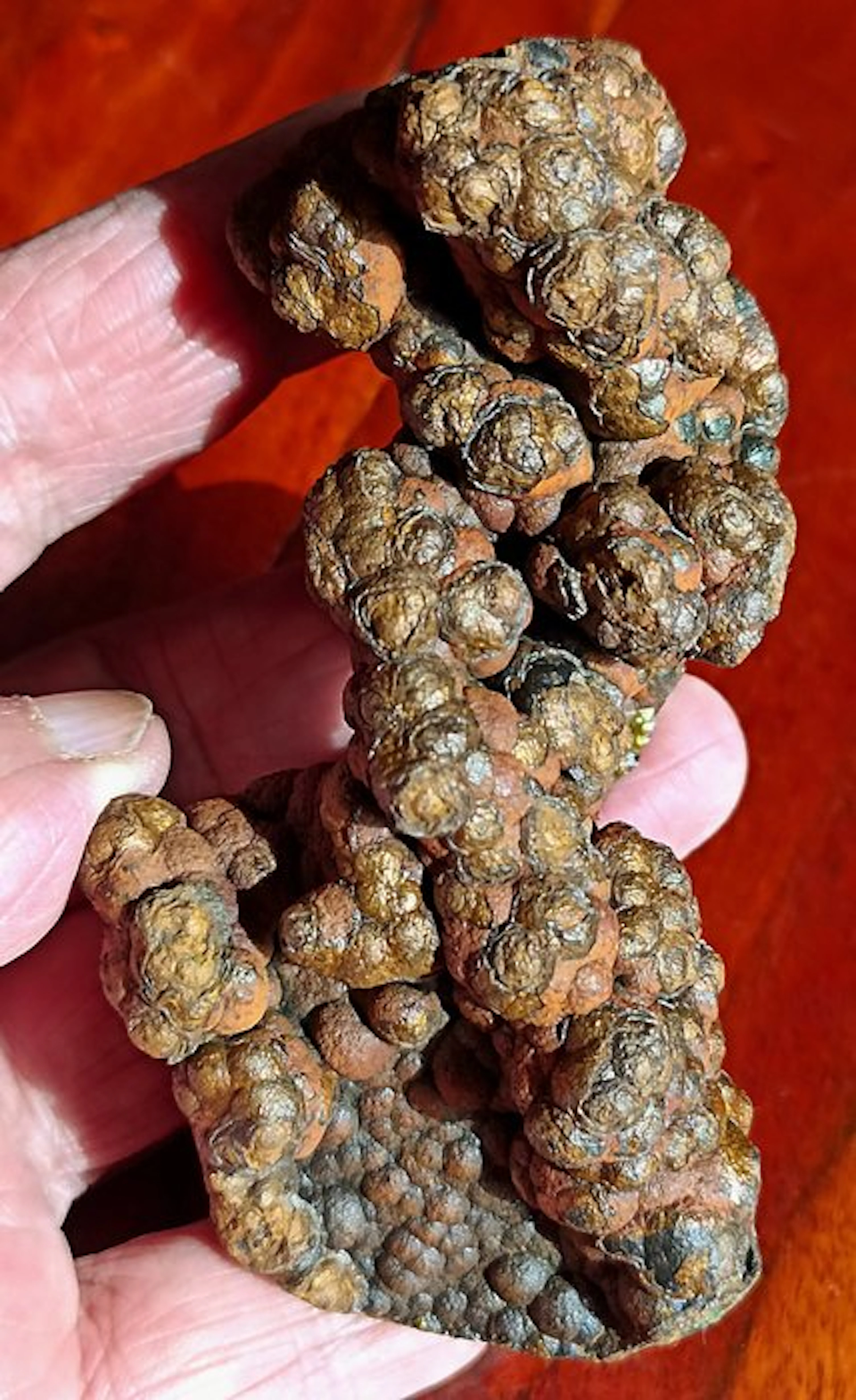 Botryoidal limonite