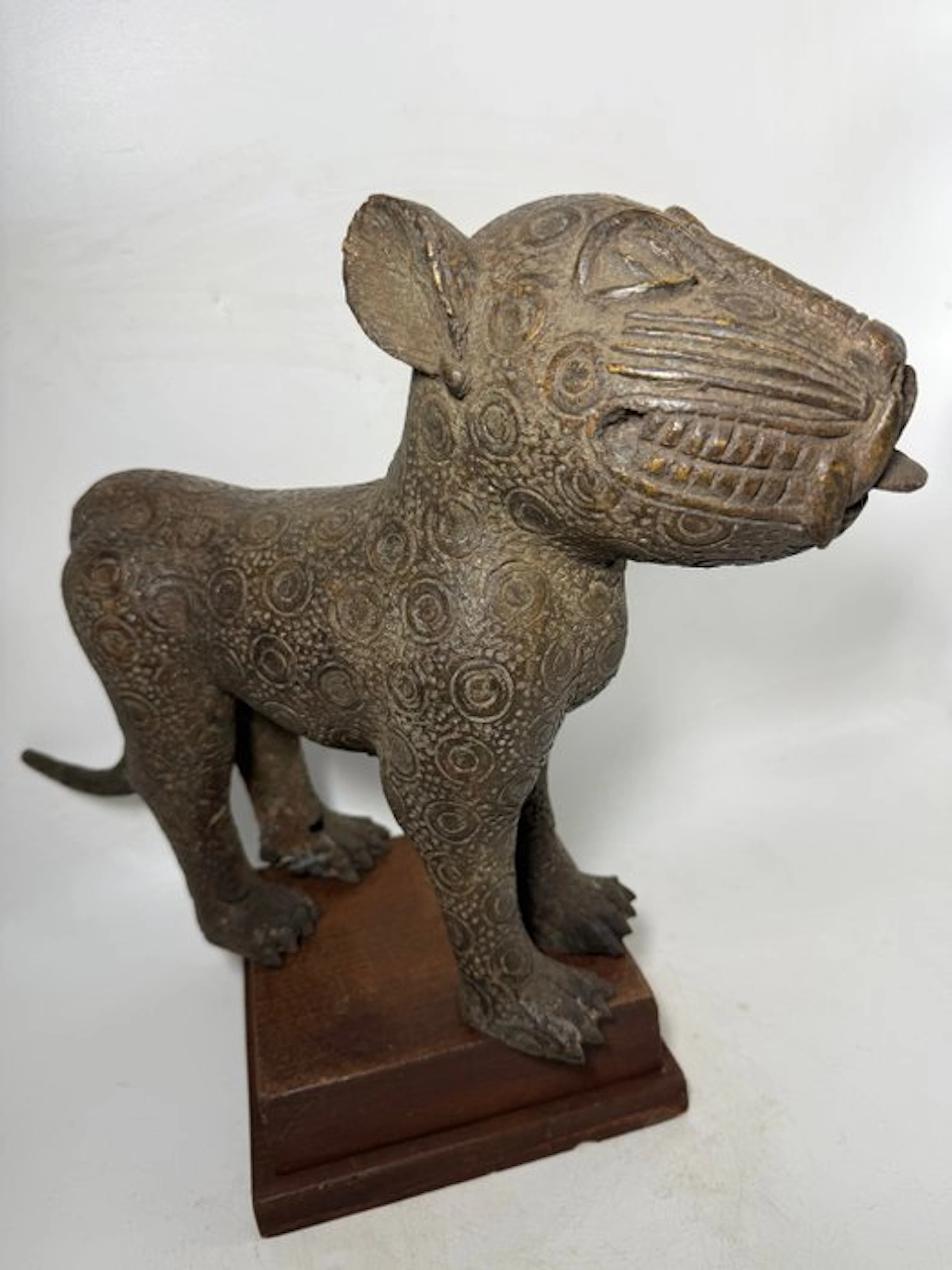 Magnificent leopard - Benin (No reserve price)