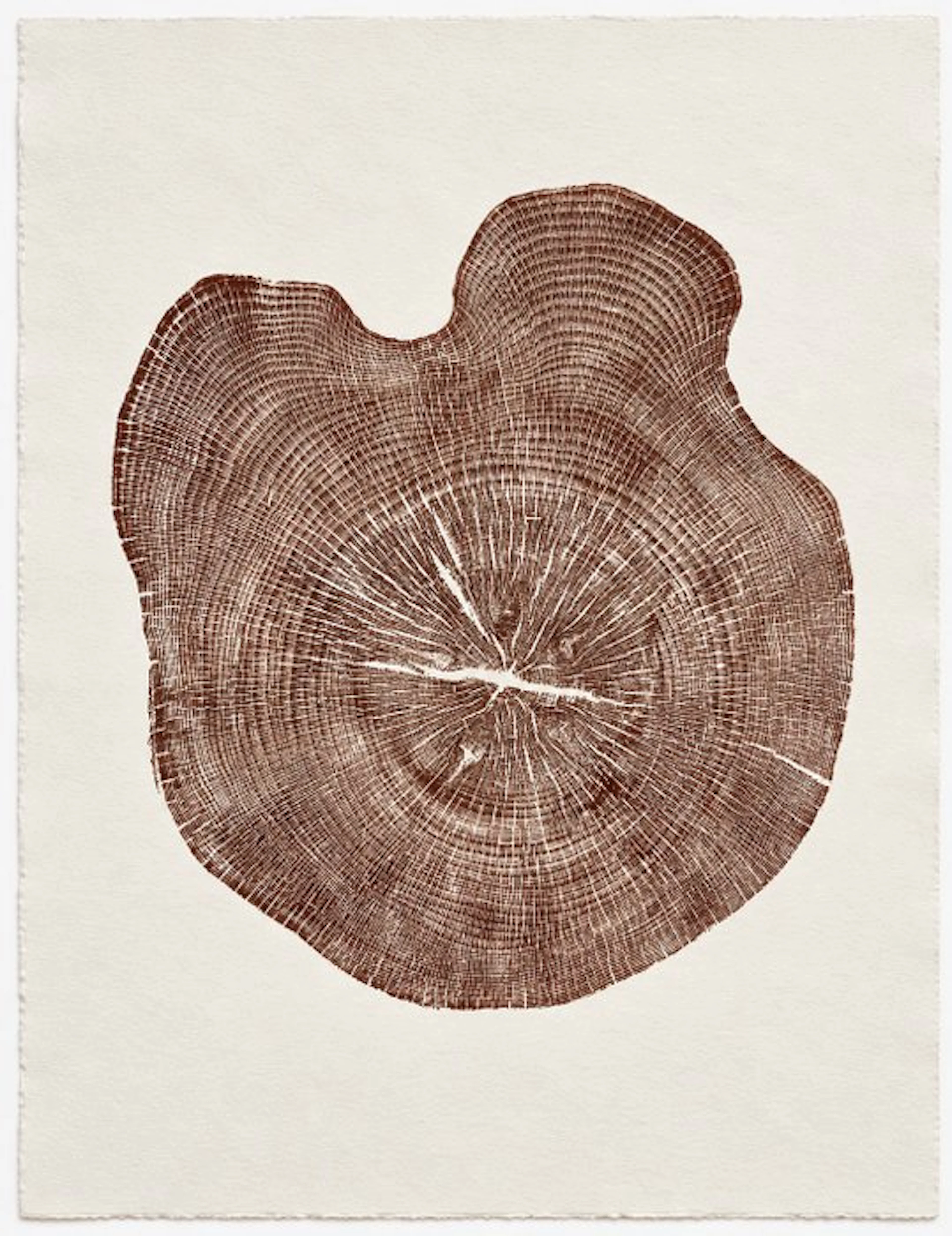 Wall decoration - Spain - Pino Silvestre