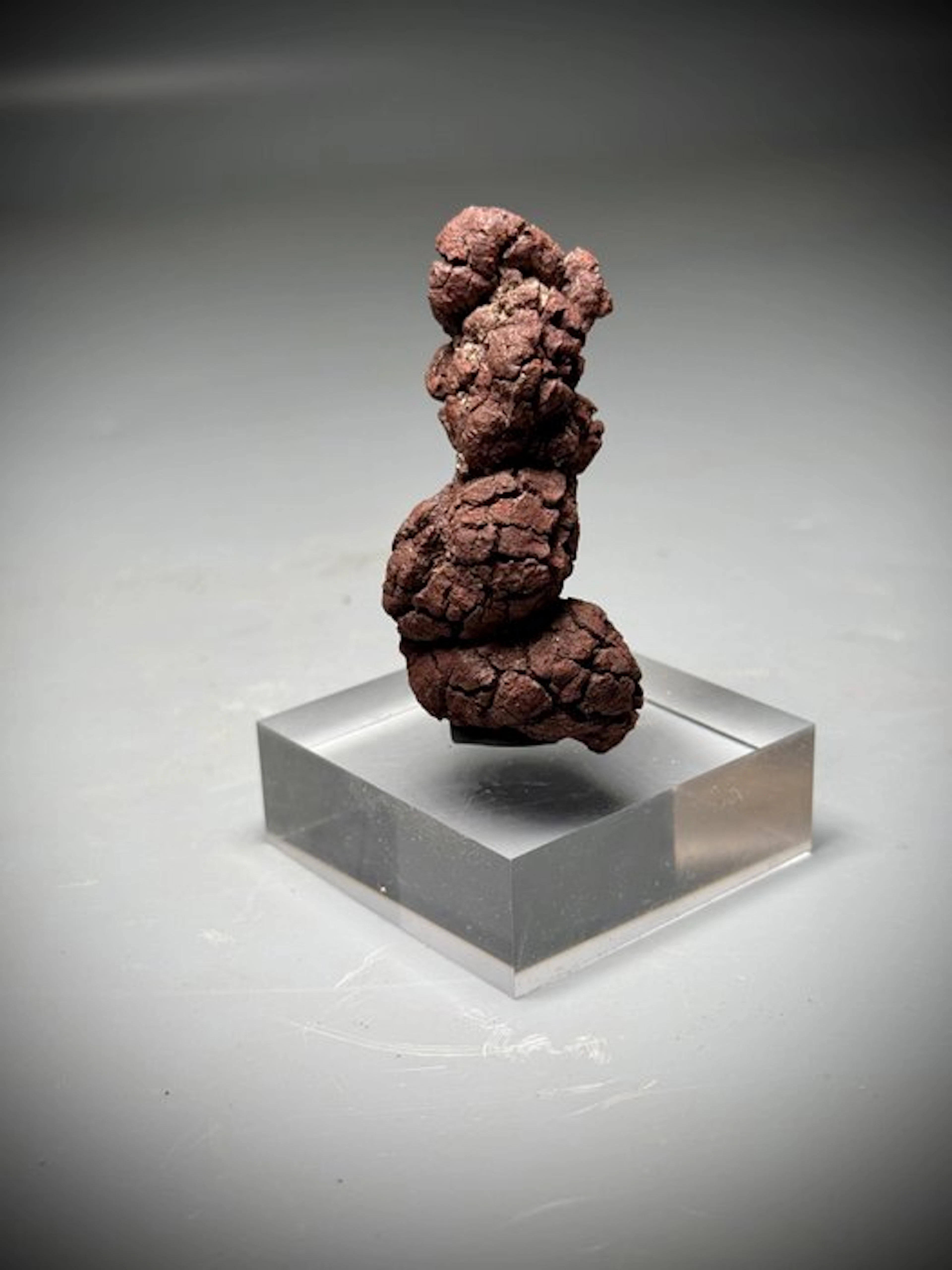 Monster Fossil "poop"- - Fossil fragment - Coprolite- Large stunning specimen