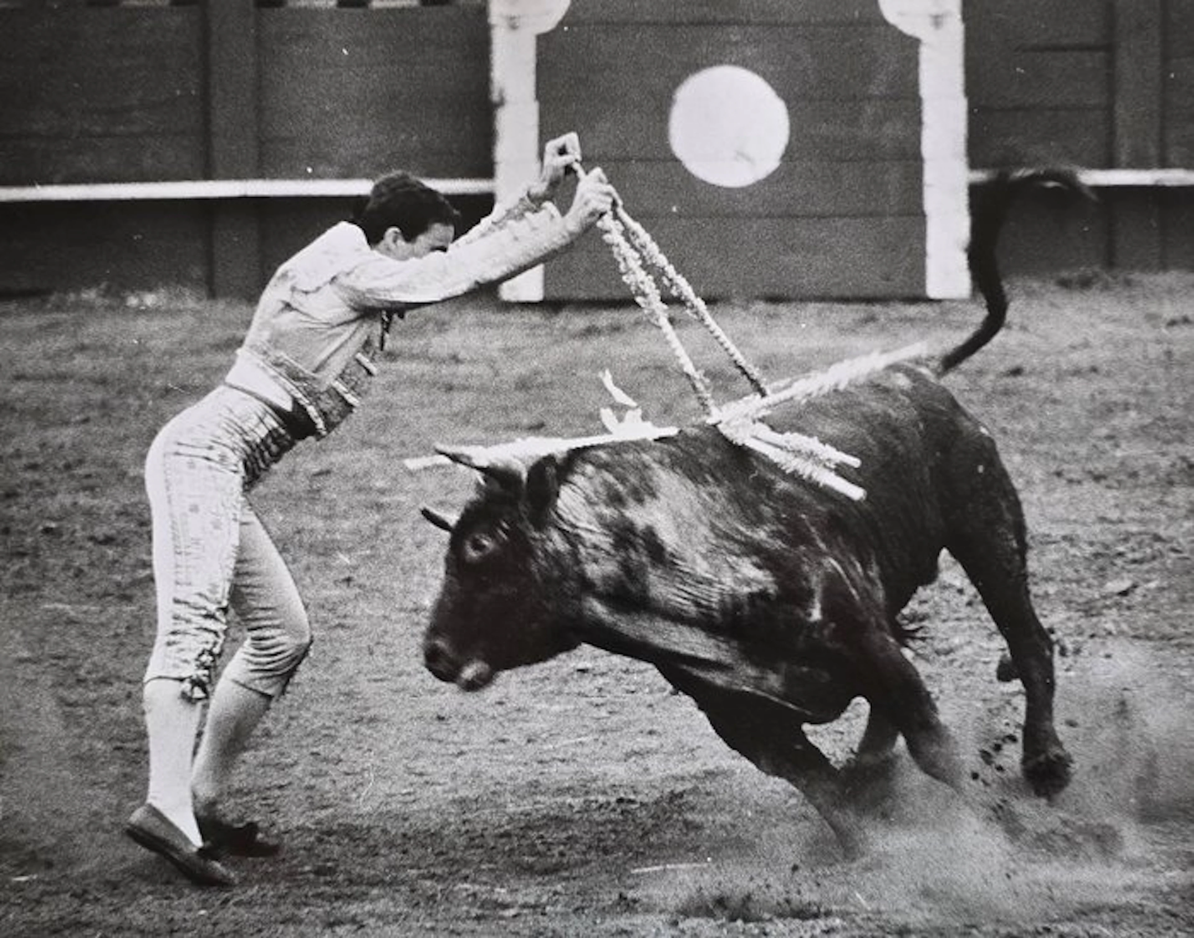 Michael Joseph (1941-) - Mozambique Bullfight - Spiking...