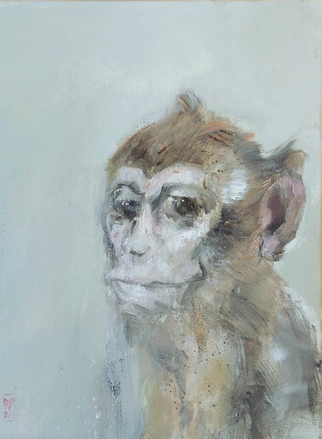 Dorien Plaat - Contact