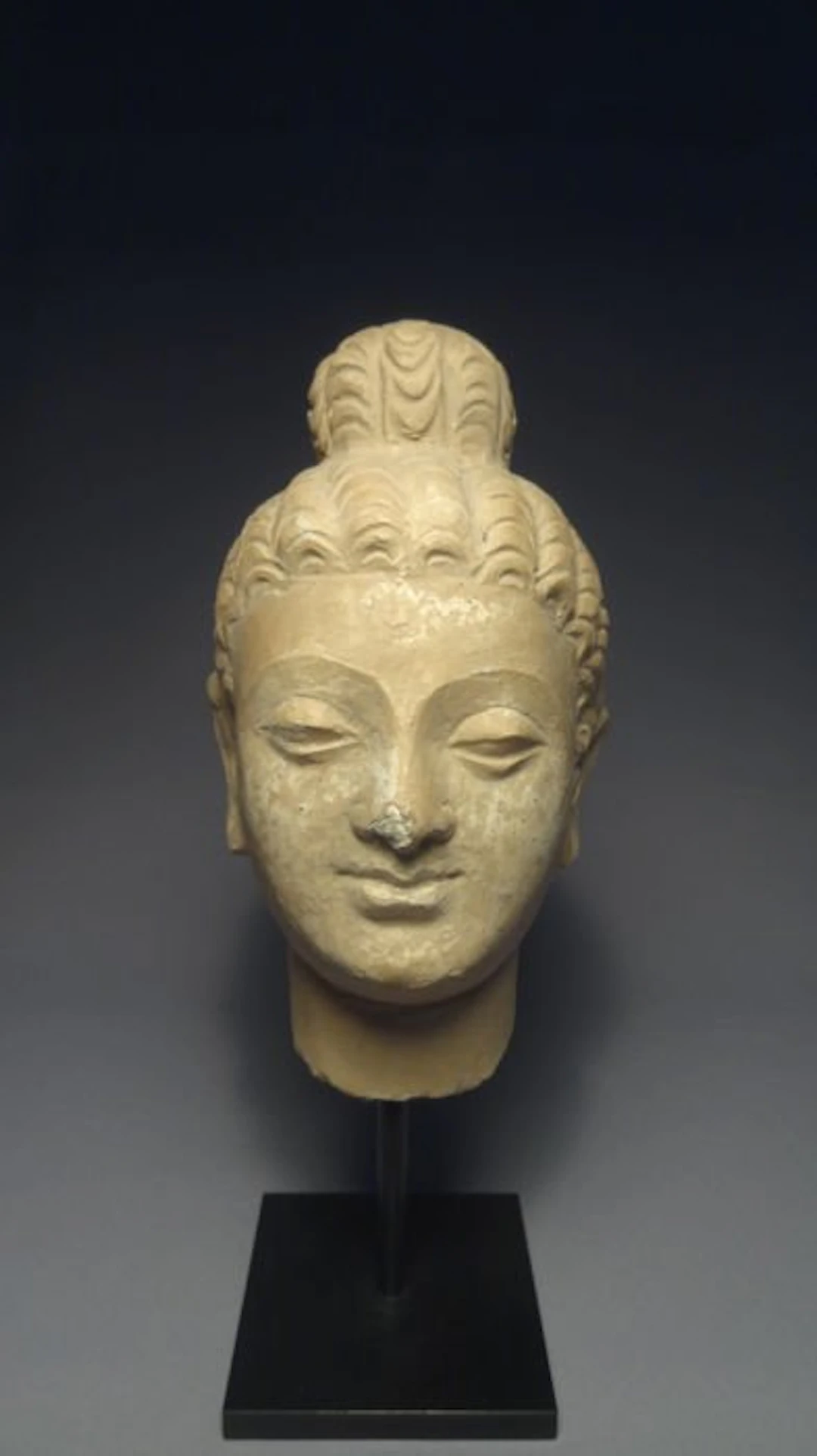 Gandhara Stucco Head - 18 cm