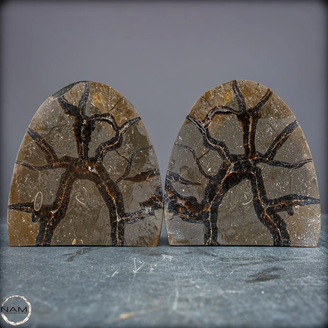 Natural septarian nut – two-piece