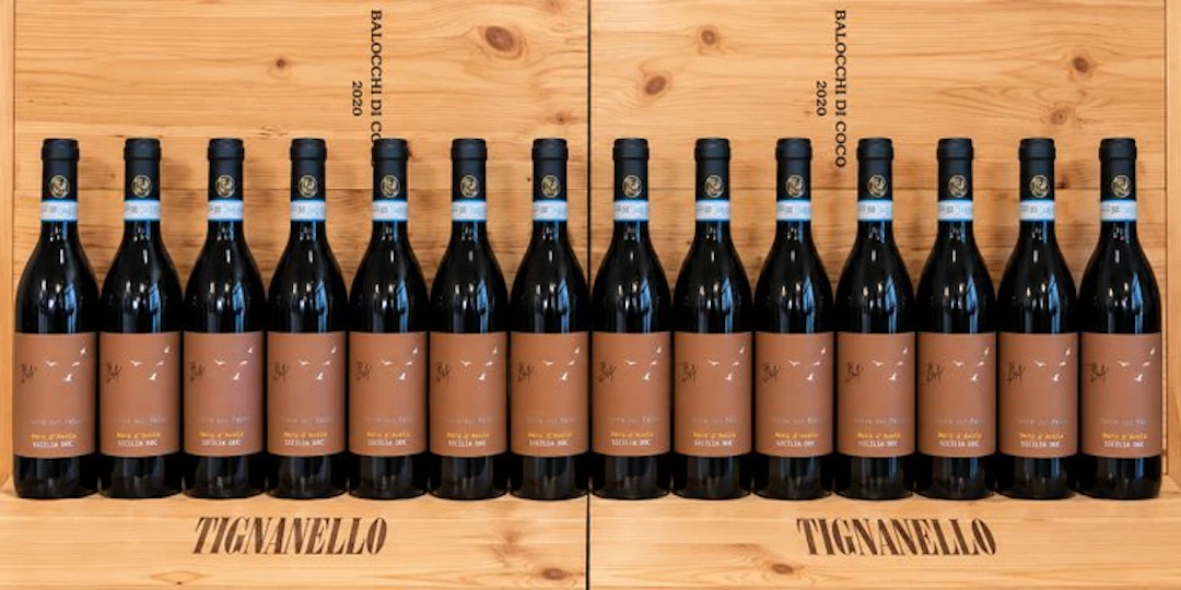 2024 Terre del palco, Nero d'Avola - Sicily - 12 Bottles (0.75L)