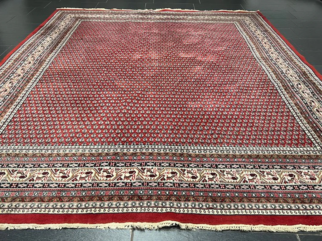 Sarough Mir - Rug - 300 cm - 245 cm
