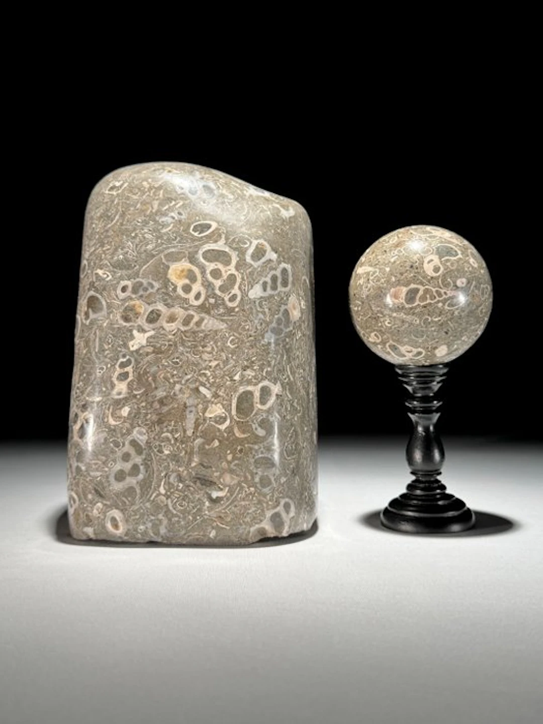 C-Beautiful Pair of Turritella Freeform & Sphere - Fossil...