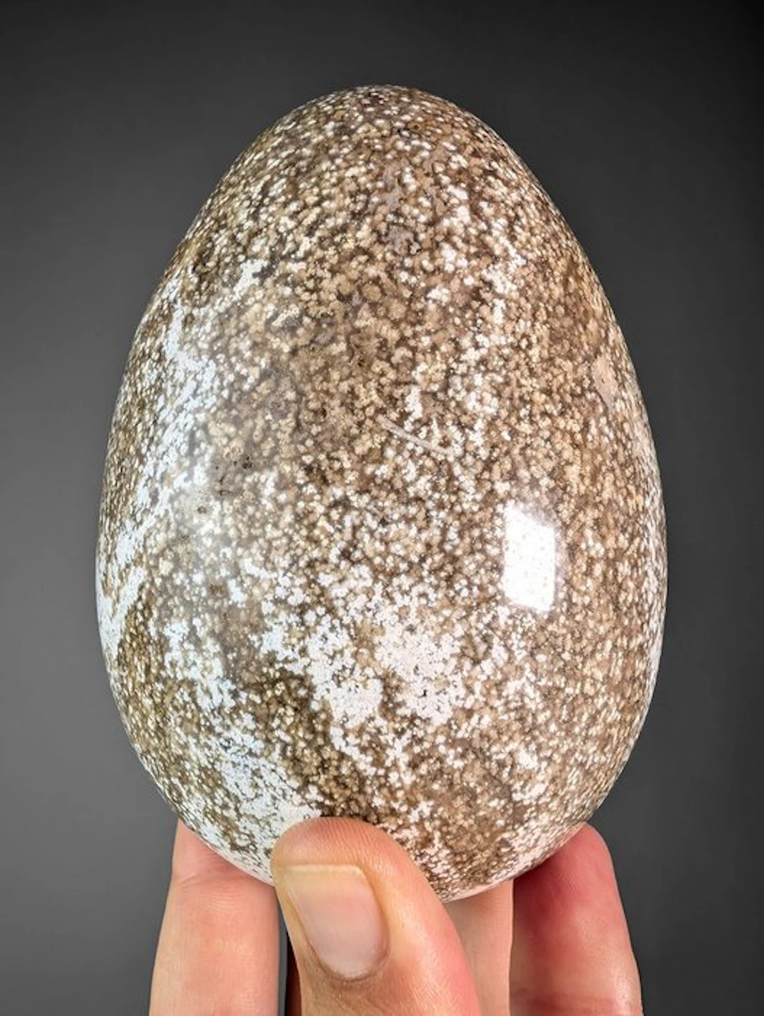 Speckled Ocean Jasper Egg - Height: 13.5 cm - Width: 9.2 cm- 1590 g
