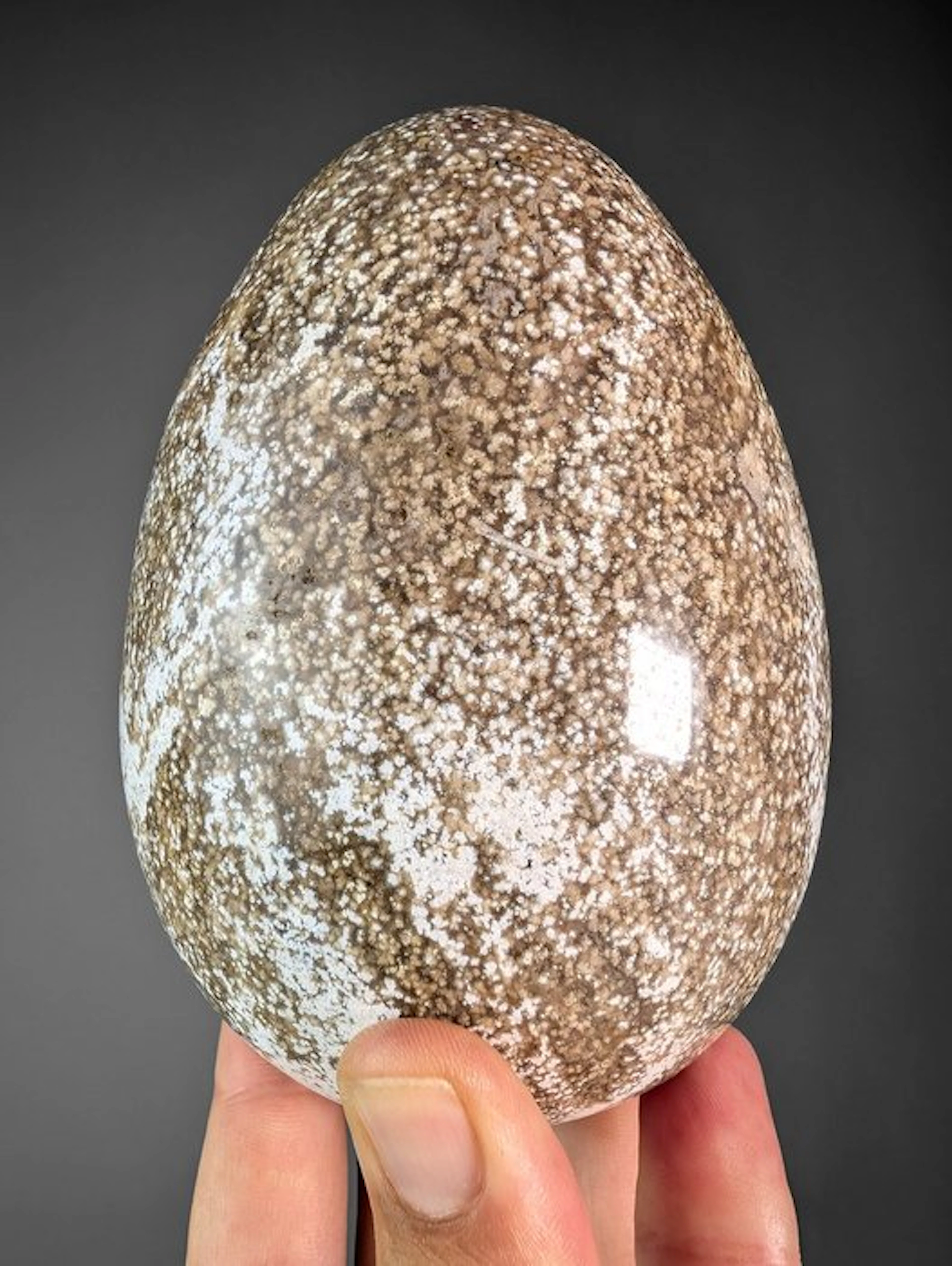 Speckled Ocean Jasper Egg - Height: 13.5 cm - Width: 9.2 cm- 1590 g