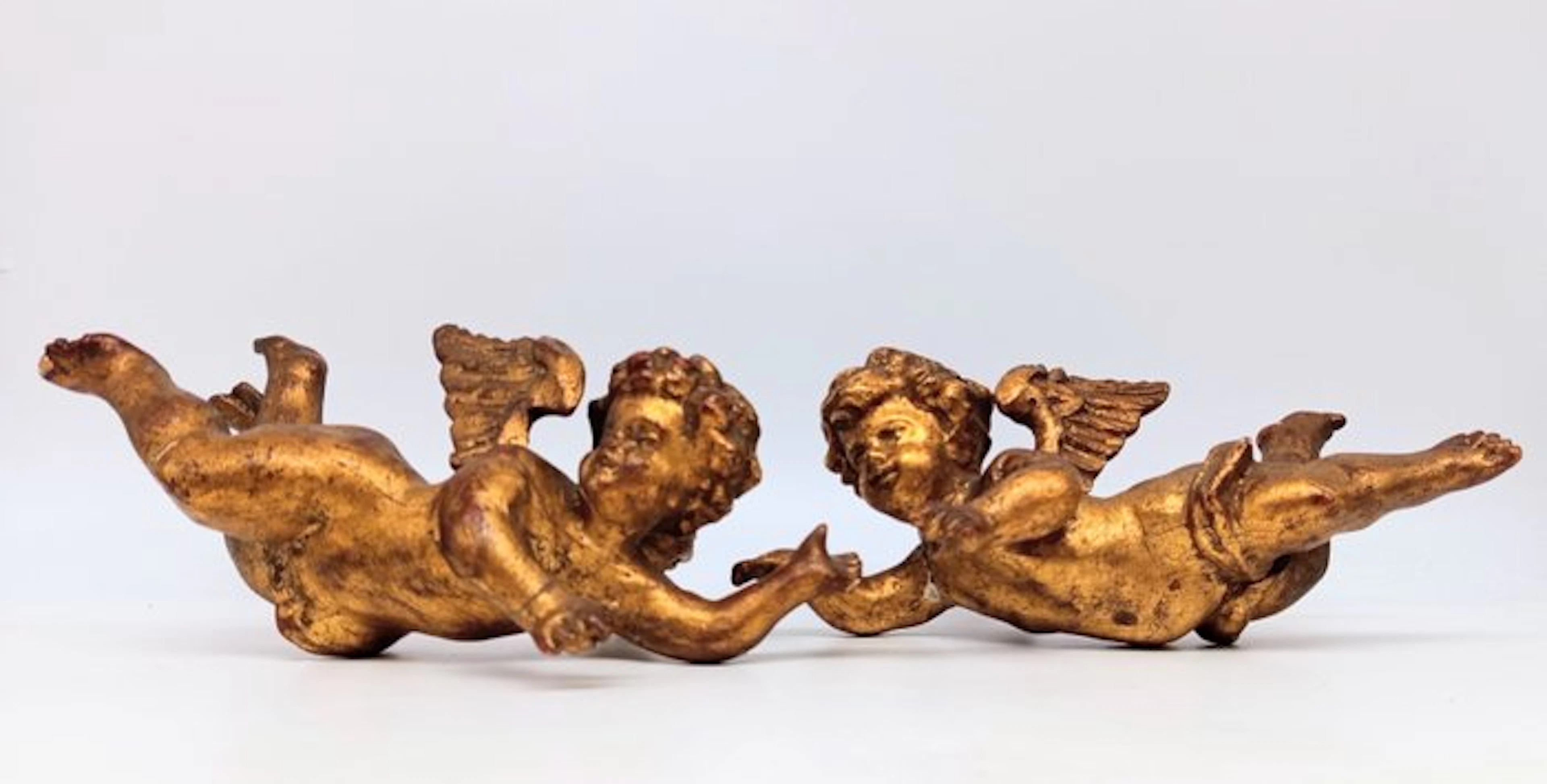 Sculpture, coppia di angioletti in legno dorato - 22 cm - gilded wood
