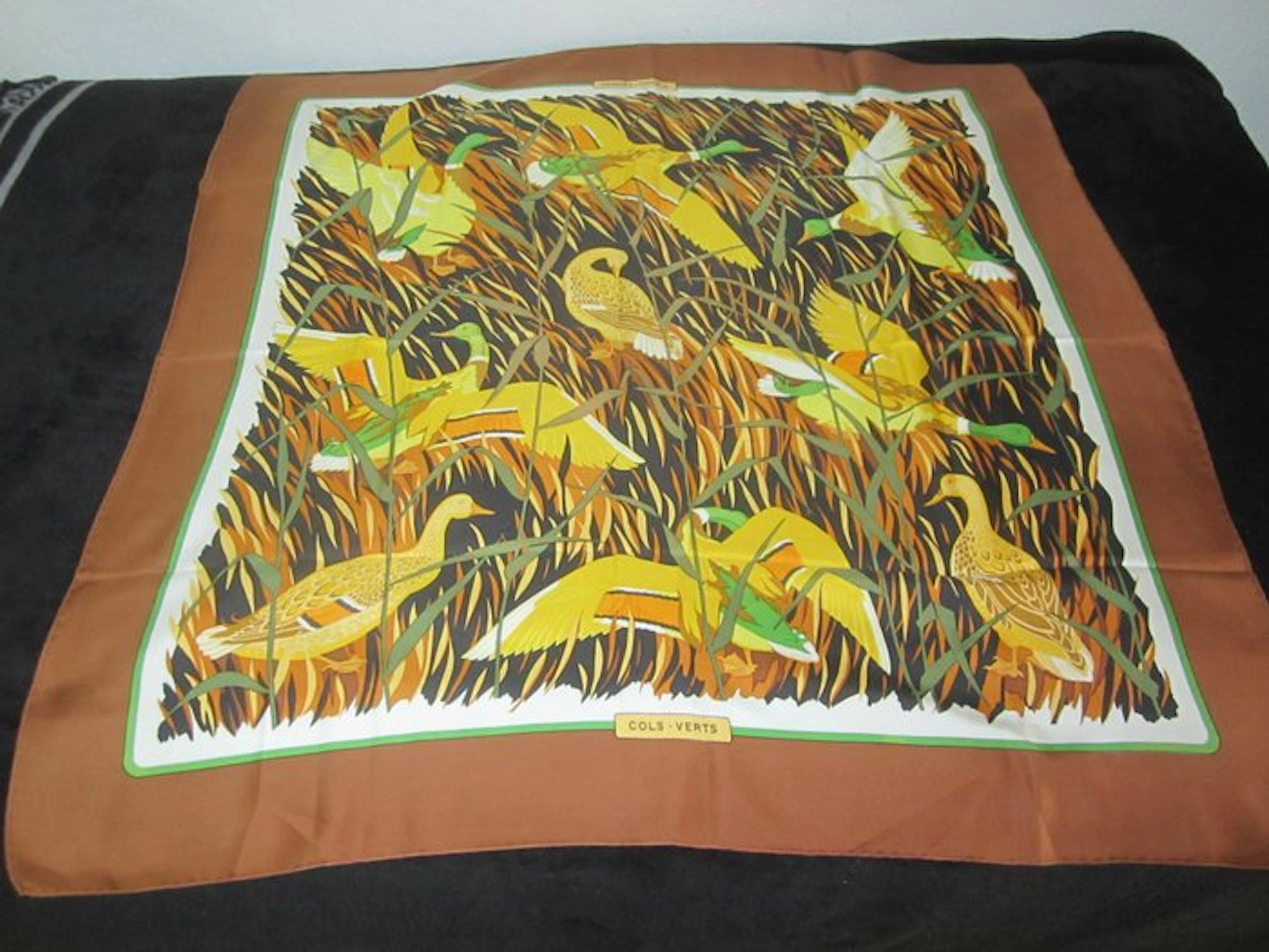 Hermès - COLS-VERTS DE C VAUZELLES DE 1973 - Foulard