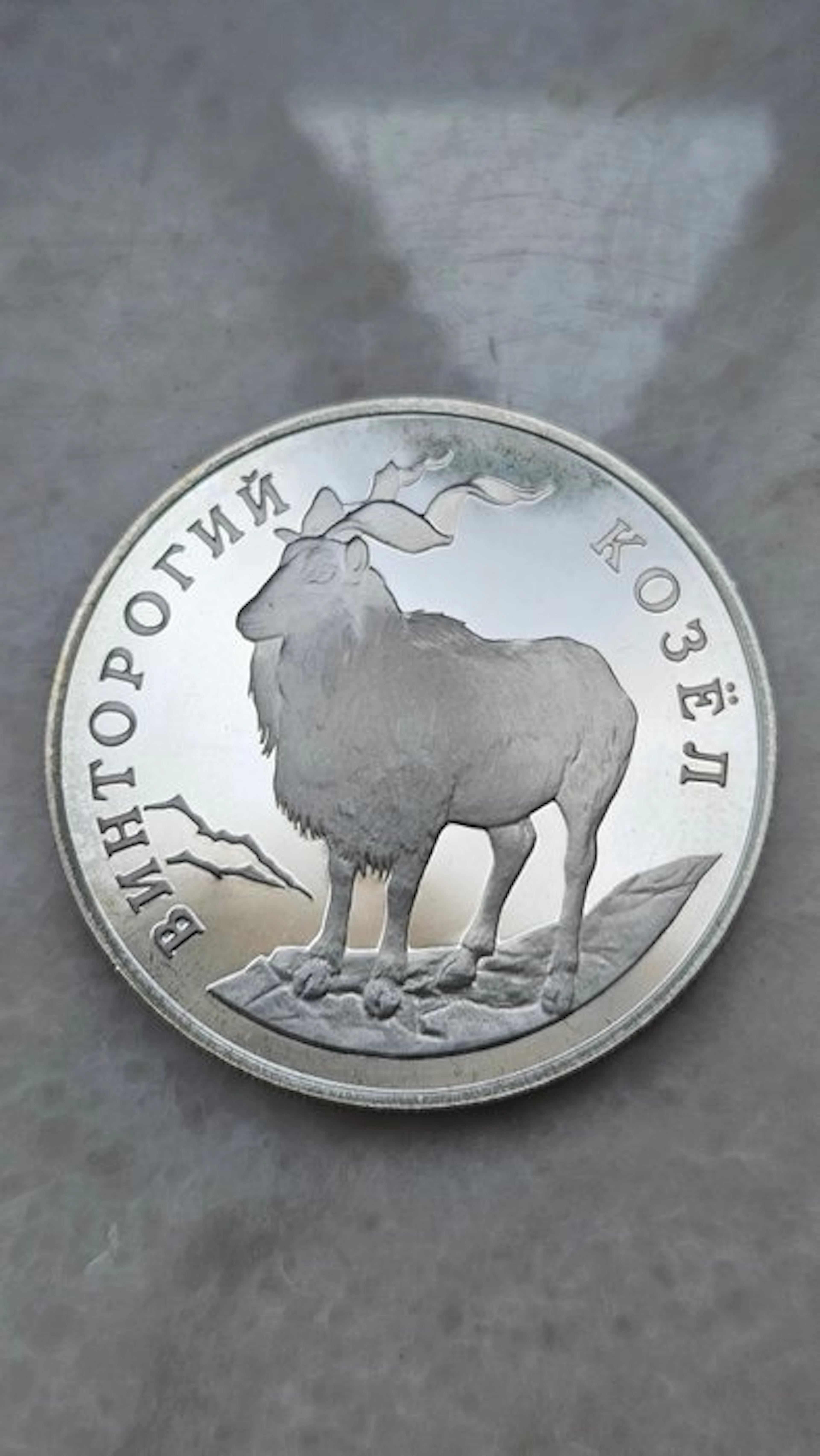 Russia. 1 Rouble 1993 (No reserve price)