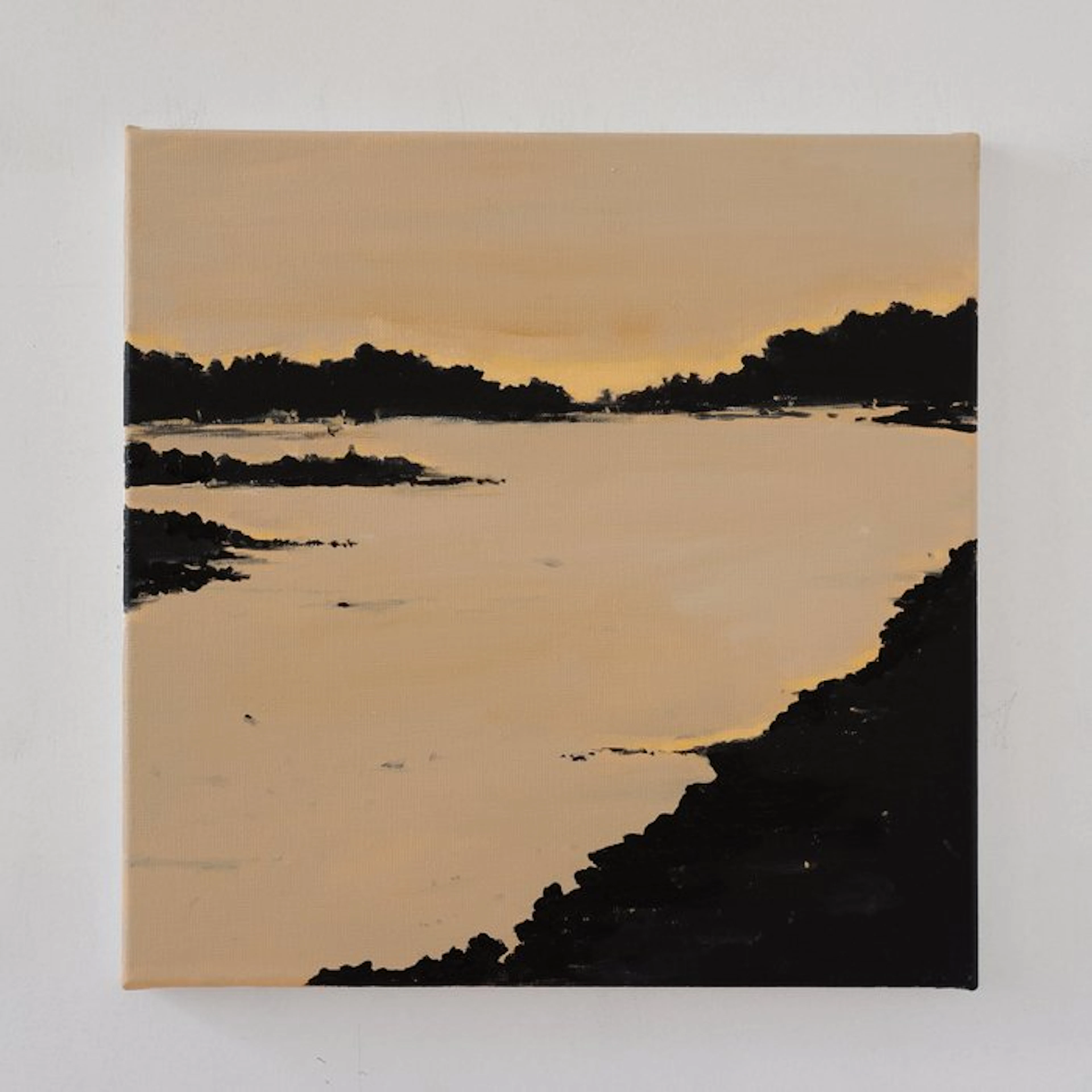 Matthieu van Riel - Biesbosch avondlicht