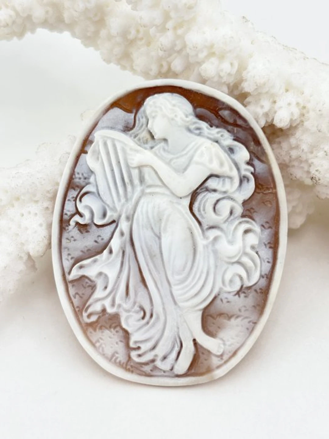 Cassis madagascariensis - Cameo - Hand-carved cameo