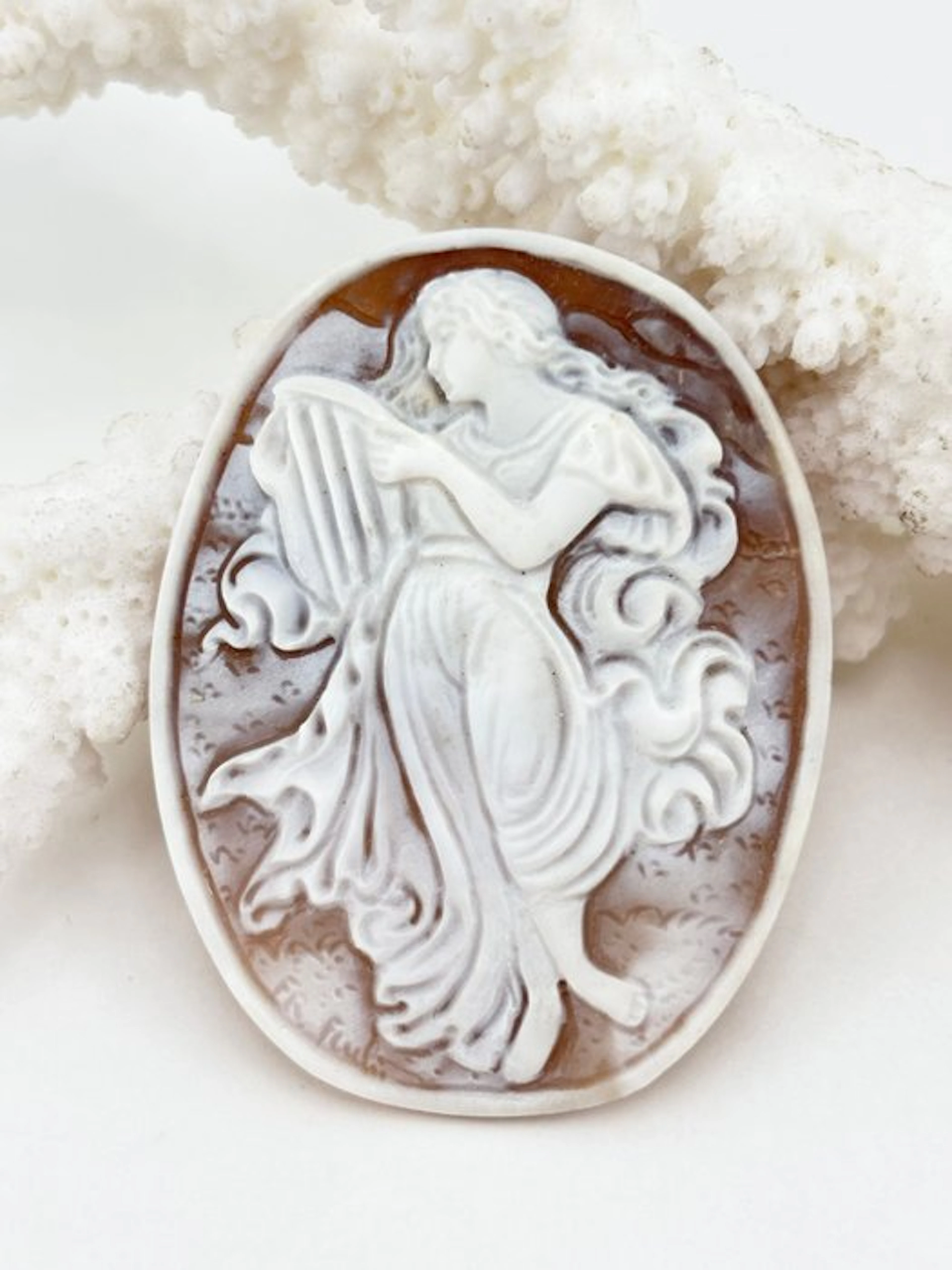 Cassis madagascariensis - Cameo - Hand-carved cameo