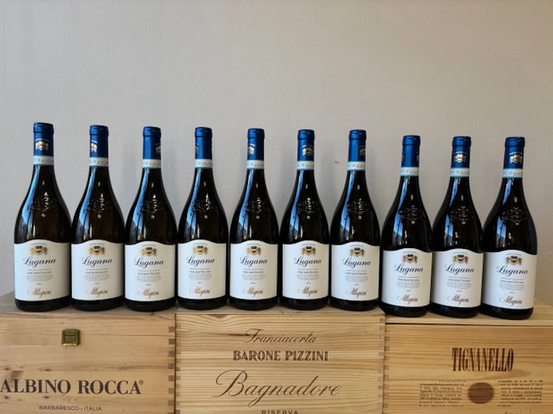 2025 Allegrini Lugana Oasi Mantellina - Lombardy - 10 Bottles (0.75L)
