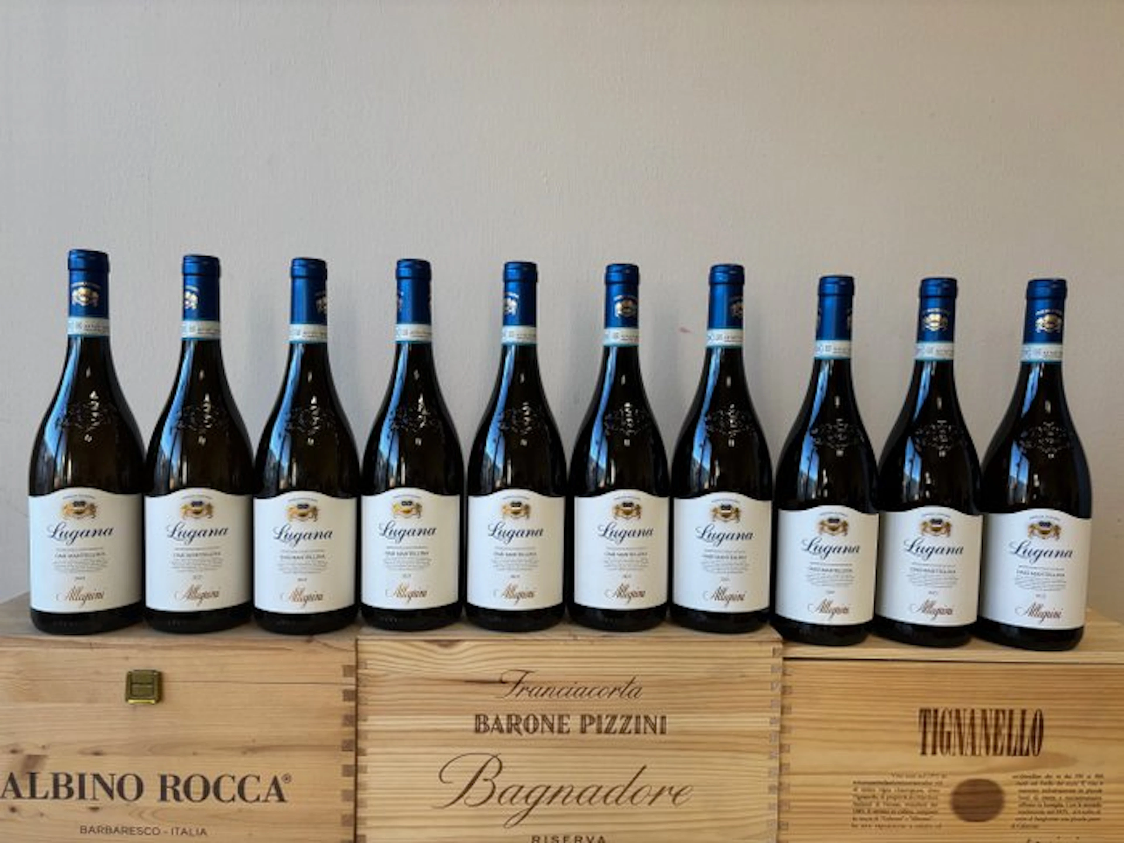 2025 Allegrini Lugana Oasi Mantellina - Lombardy - 10 Bottles (0.75L)