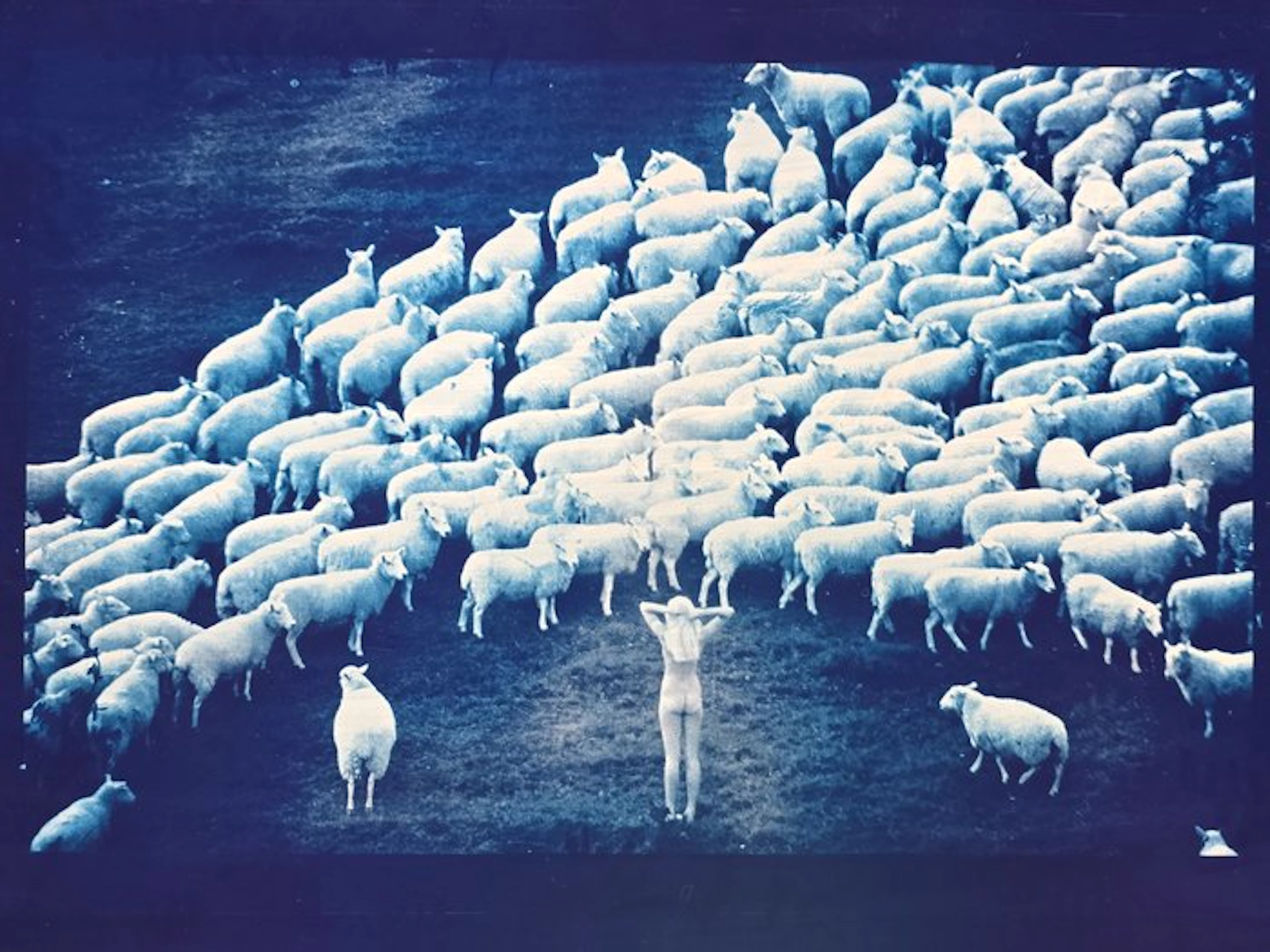 Michael Joseph (1941-) - Nude in sheep cyanotype