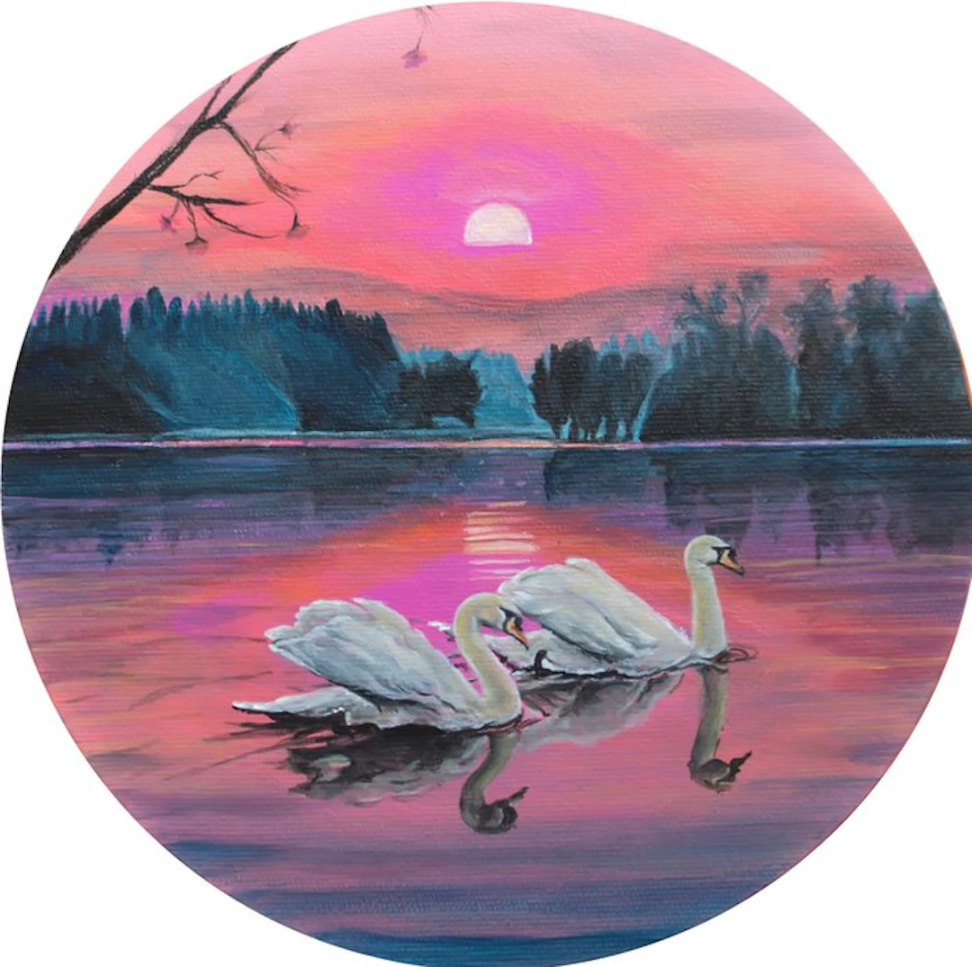 Silvia Dossi (XXI) - Cigni al tramonto