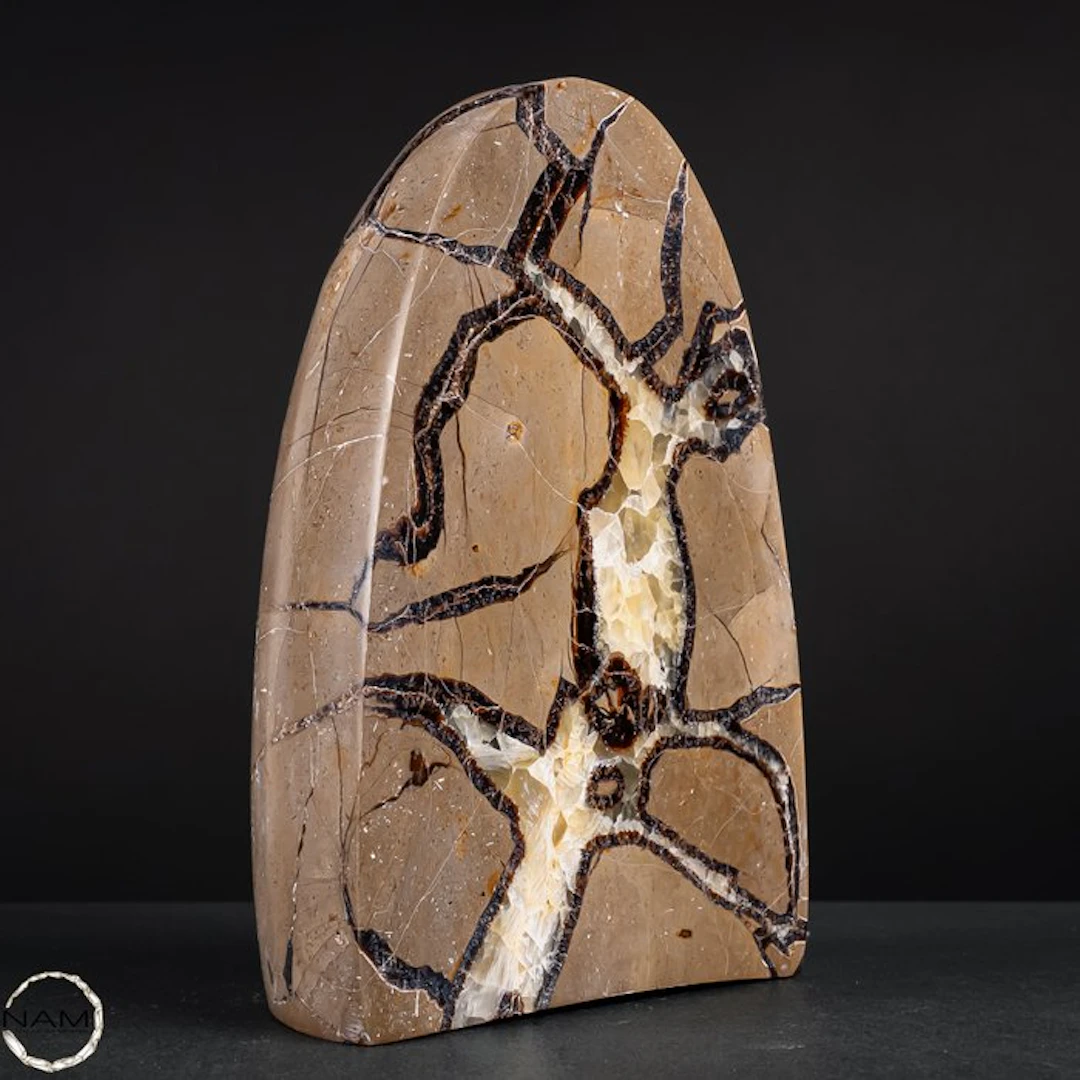 Septarian freeform with drusy – natural texture meets...