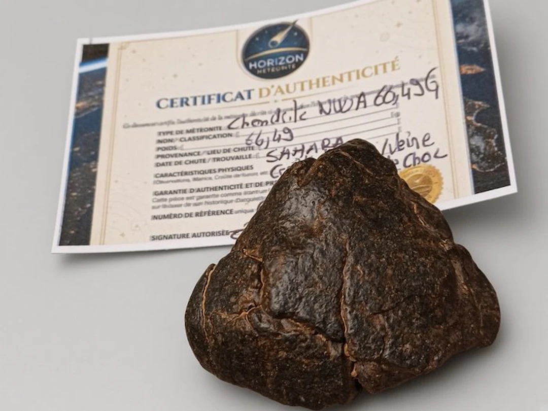 NO RESERVE!! Oriented chondrite NWA 66.49 g with fusion...