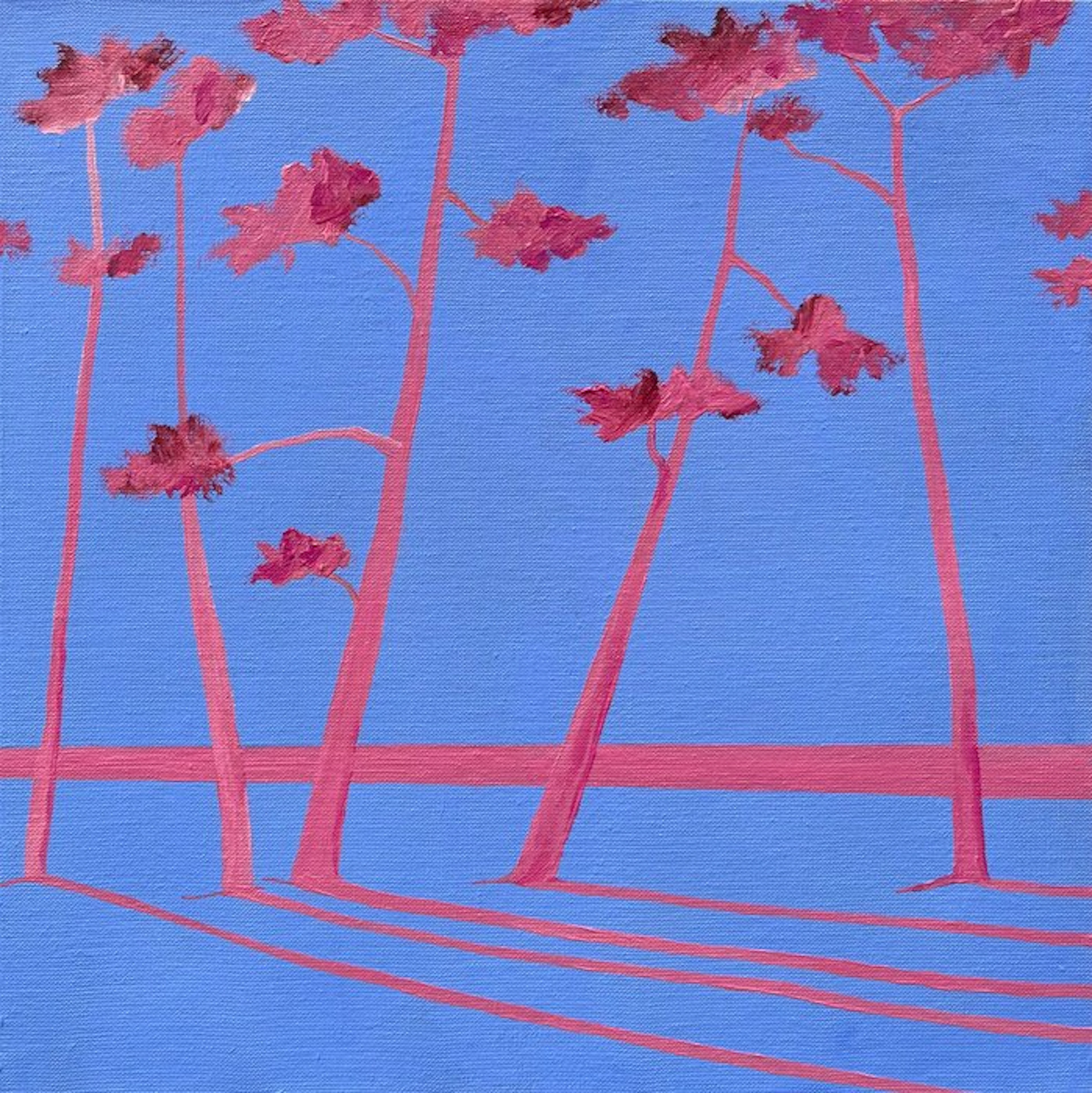 Fred - Pink Pinetrees