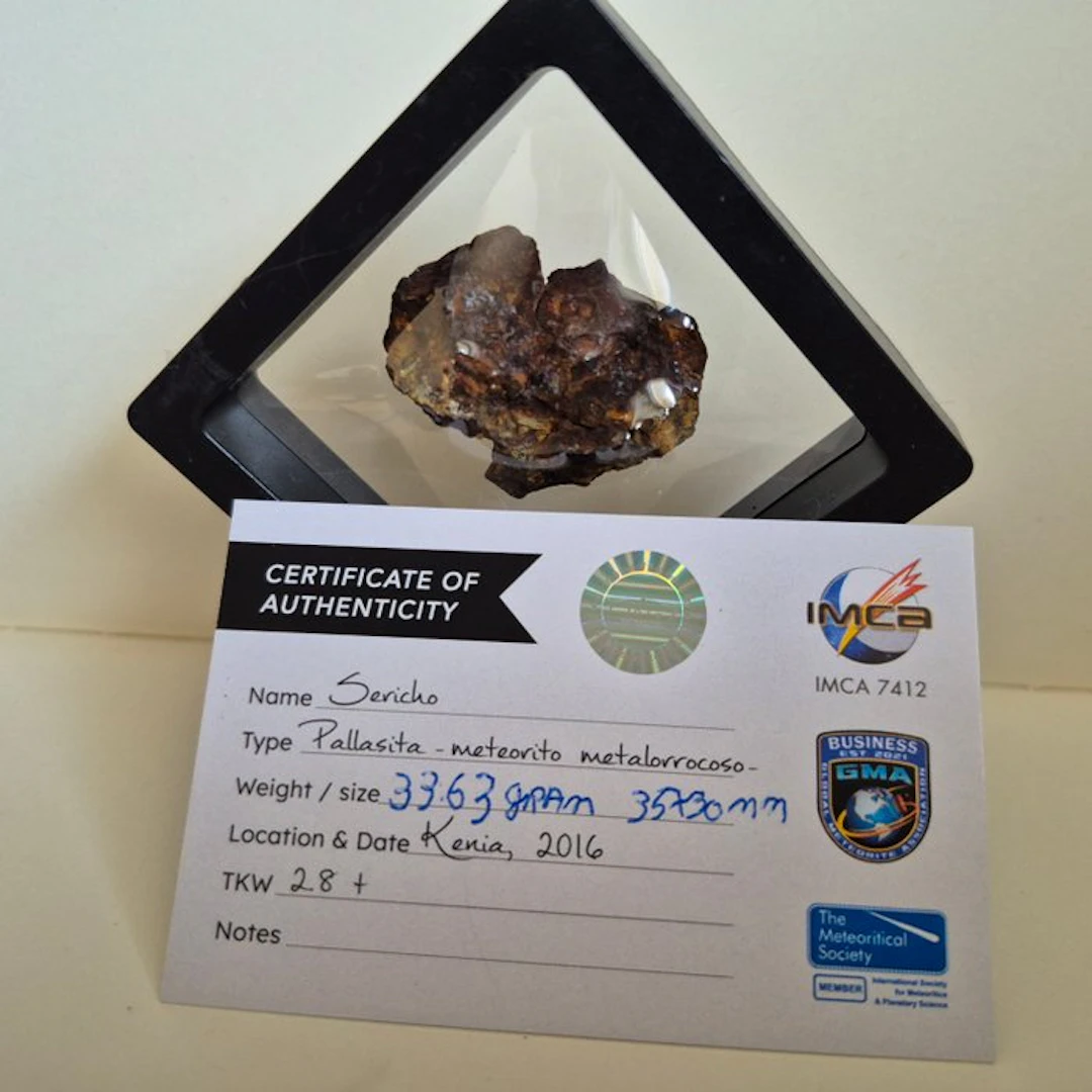 Sericho meteoriet pallasite + echtheid certificaat Iron...