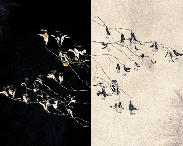 Jorge Omeñaca (1981) - Ramas y flores minimal