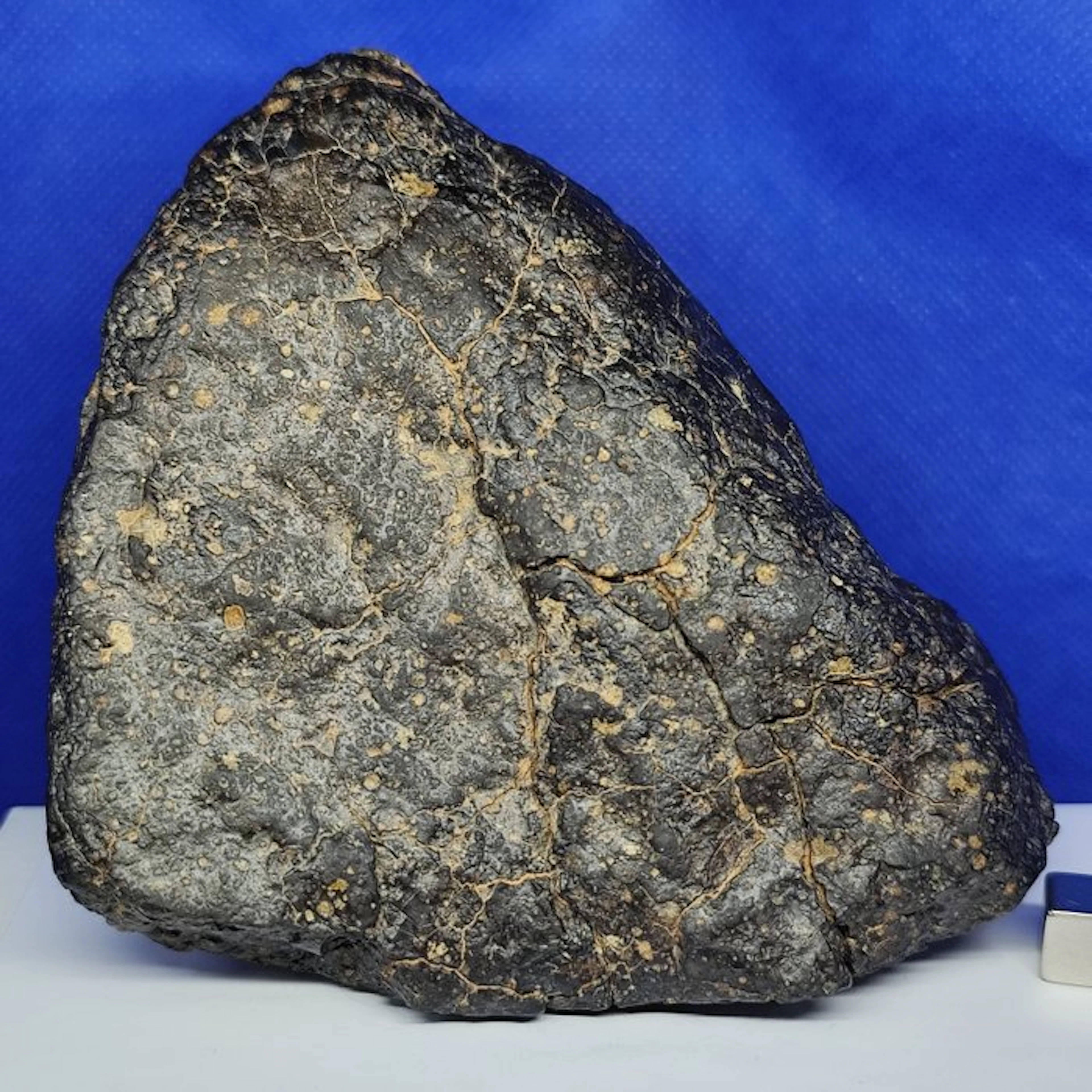 XL, CV3, CARBONACEOUS Chondrite Meteorite (Sahara