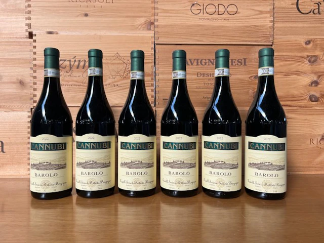 2022 Serio & Battista Borgogno "Cannubi" - Barolo - 6 Bottles (0.75L)