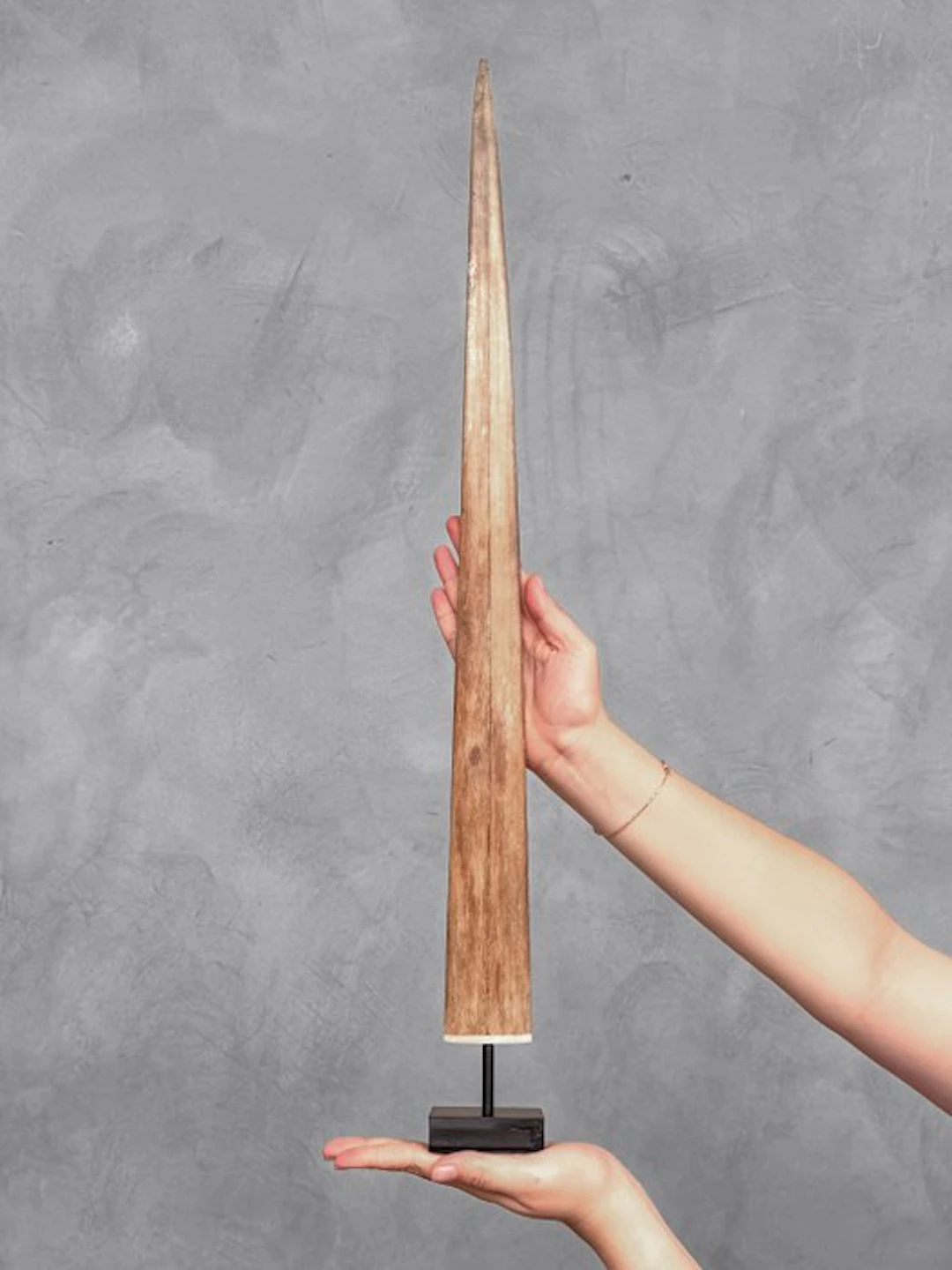 NO RESERVE PRICE - Stunning Large Swordfish Rostrum...