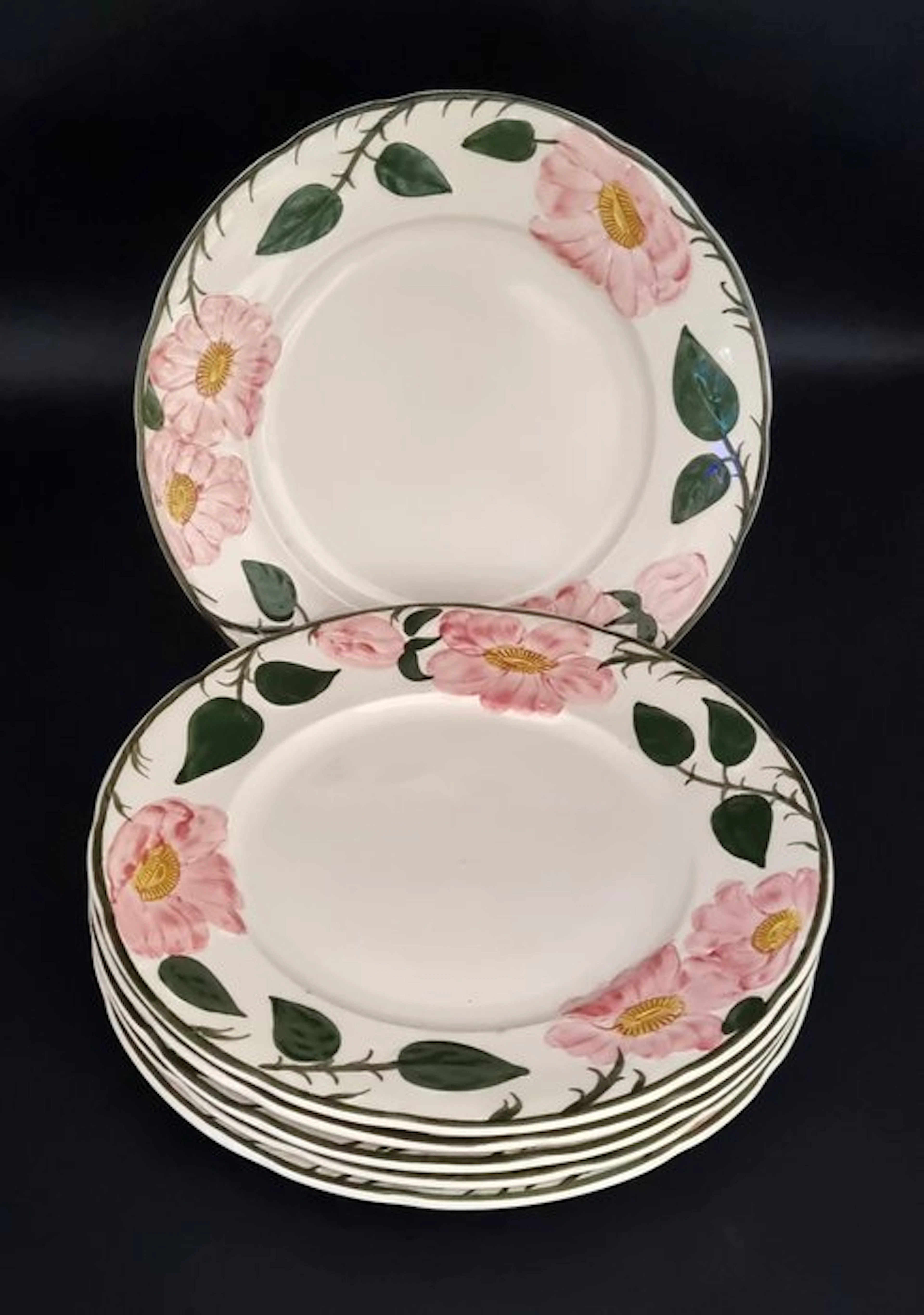 Villeroy & Boch - Dinner plate (6) - 1.Wahl! Wild-Rose 6 x Speiseteller ca
