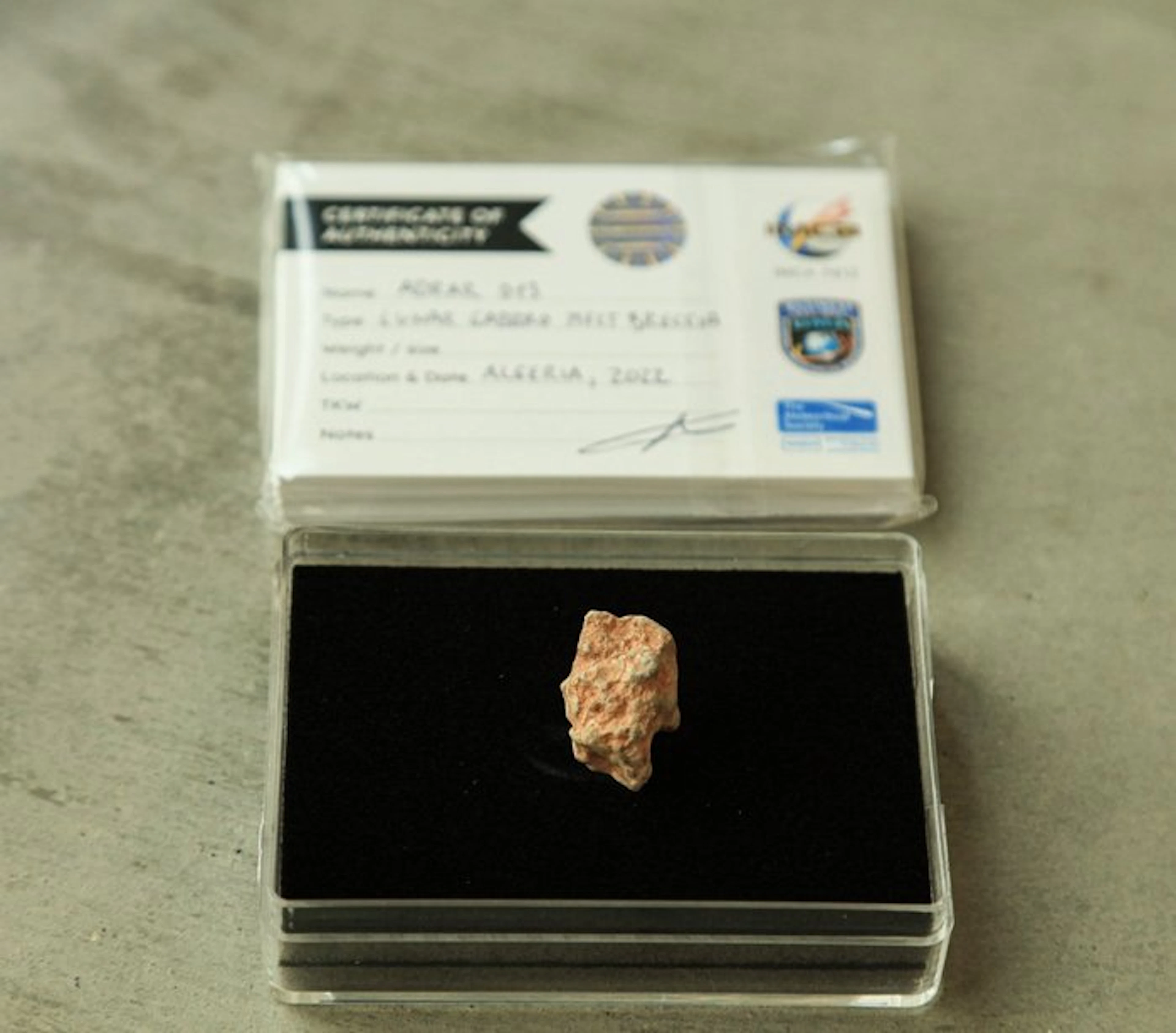Lunar meteorite XL Adrar 013 Lunar Feldspathic Gabbro...