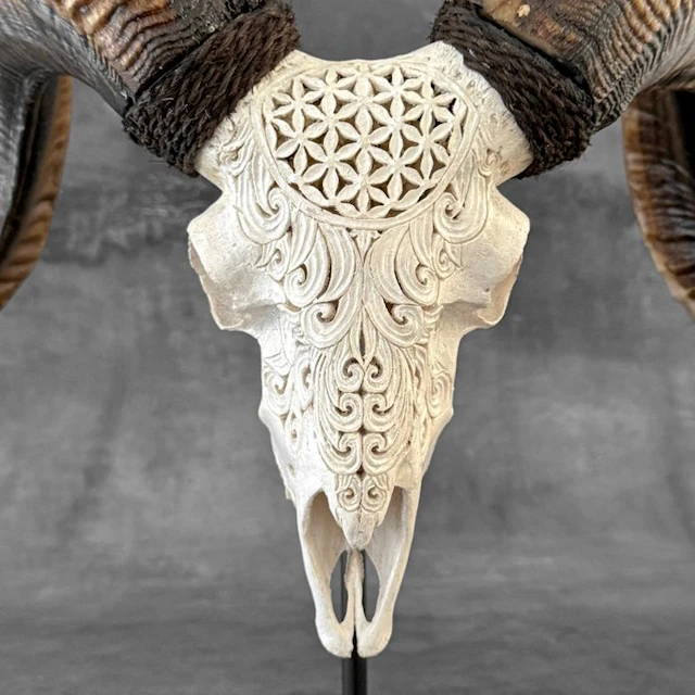 NO RESERVE PRICE -C- Authentic Hand-Carved White Ram...