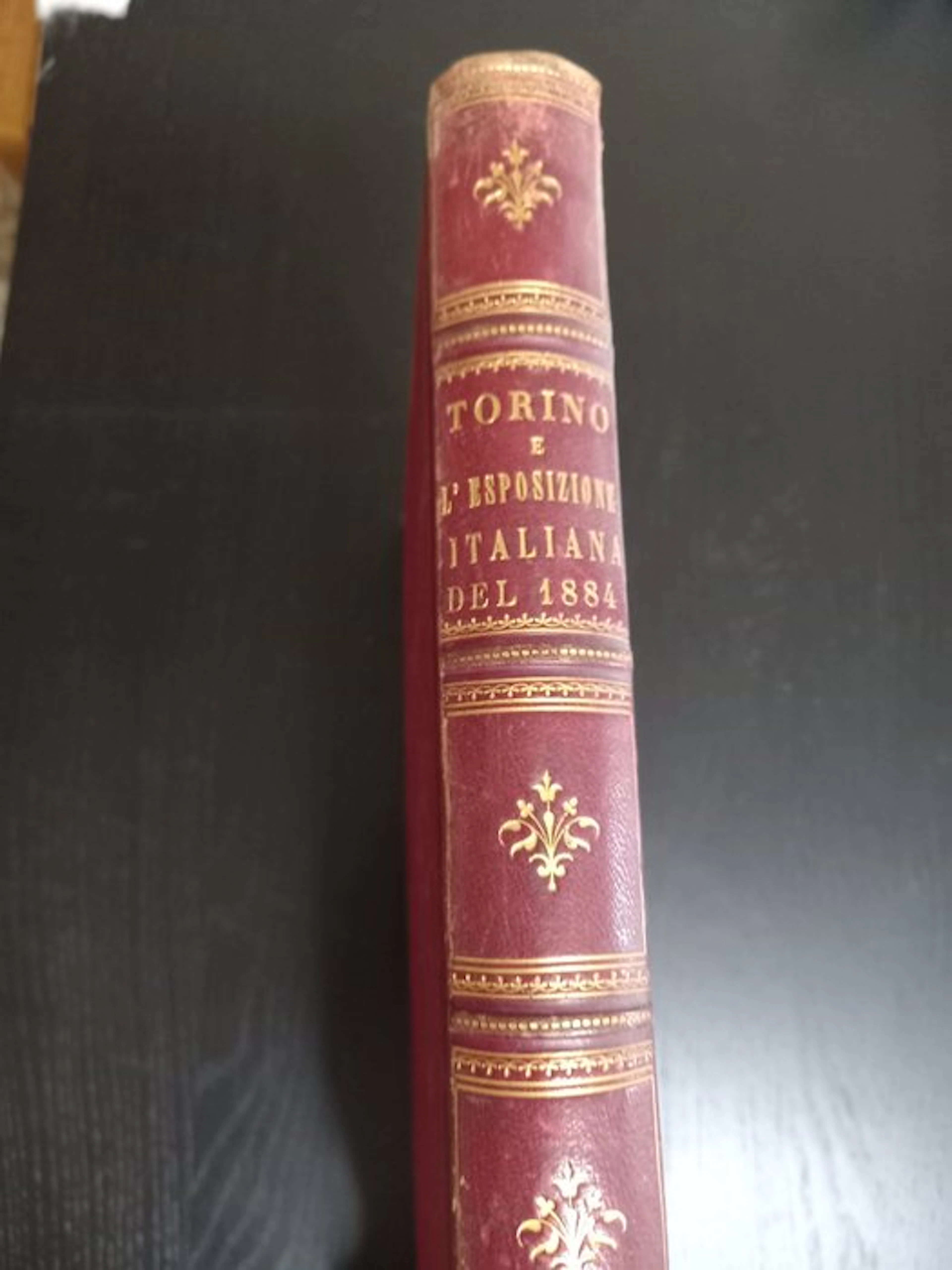 Autori Vari" (AA.VV. - Torino e l'Esposizione Italiana del 1884 - 1884