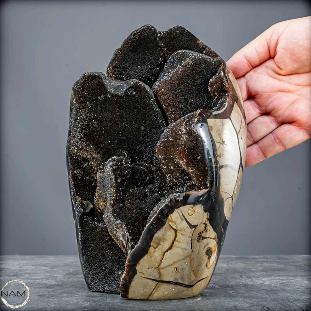 Septarian freeform with impressive black crystal druse- 3487.77 g