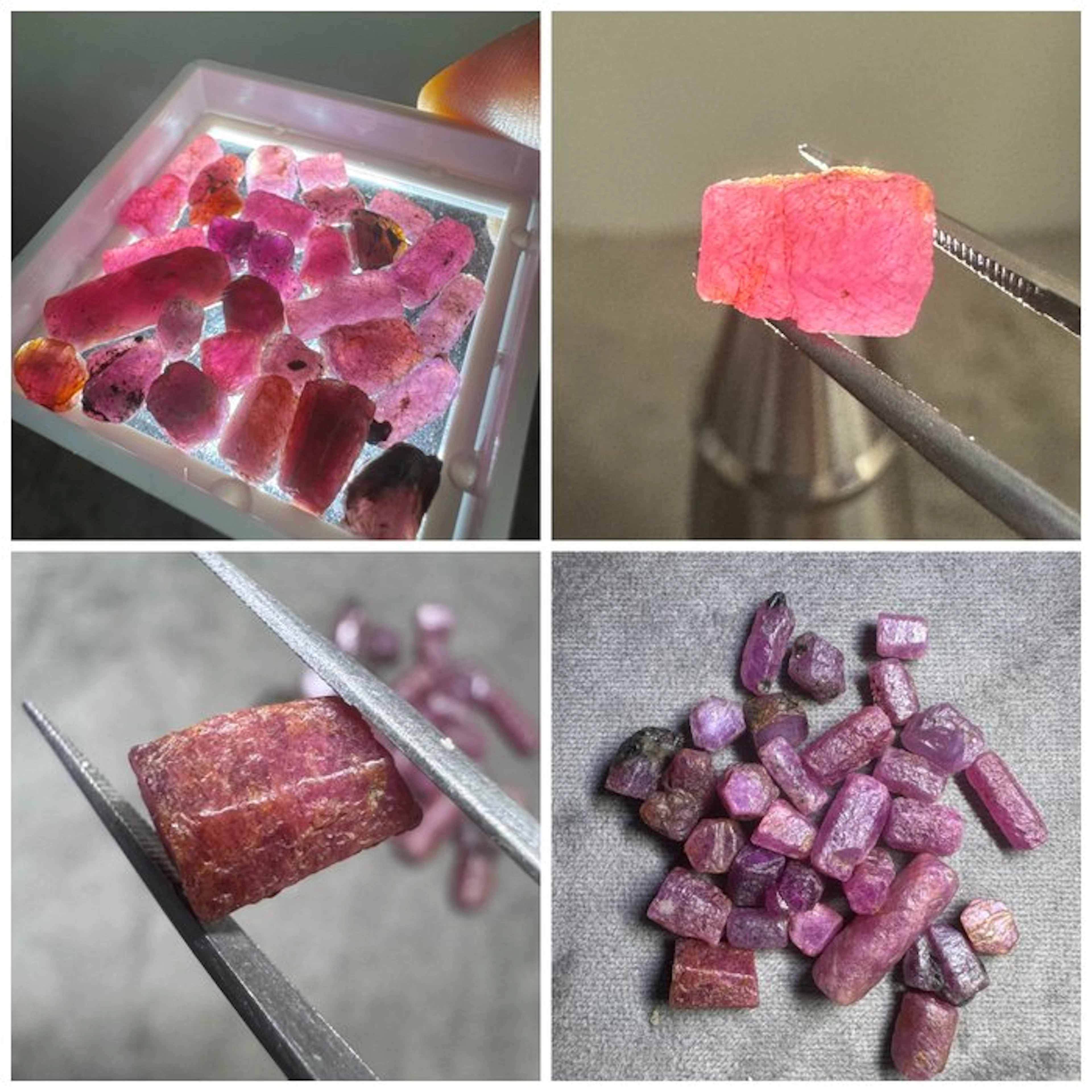 Lot of 100 carats of natural AA ruby crystals Brut- 20 g - (29)
