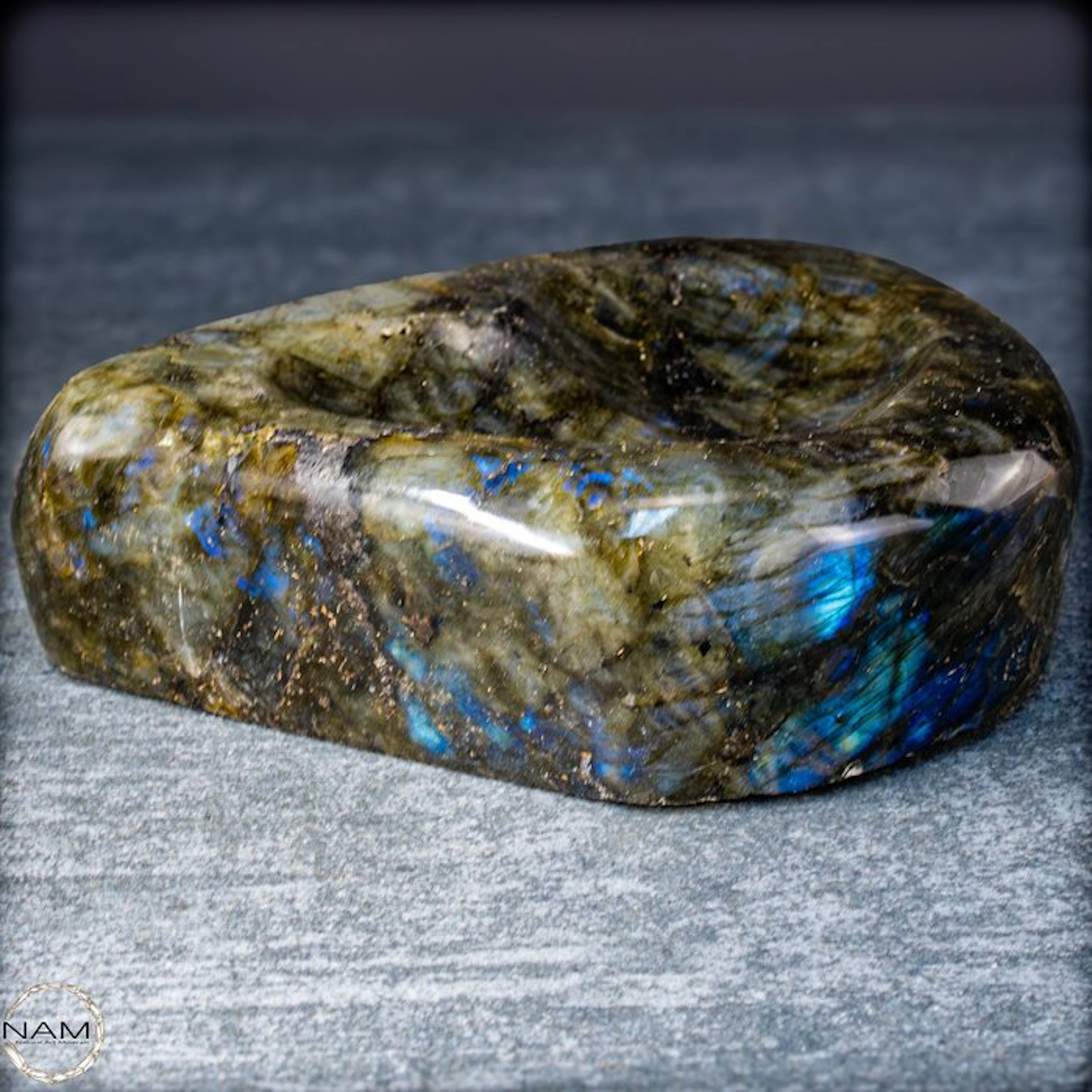 Labradorite heart shell with a fascinating play of colors