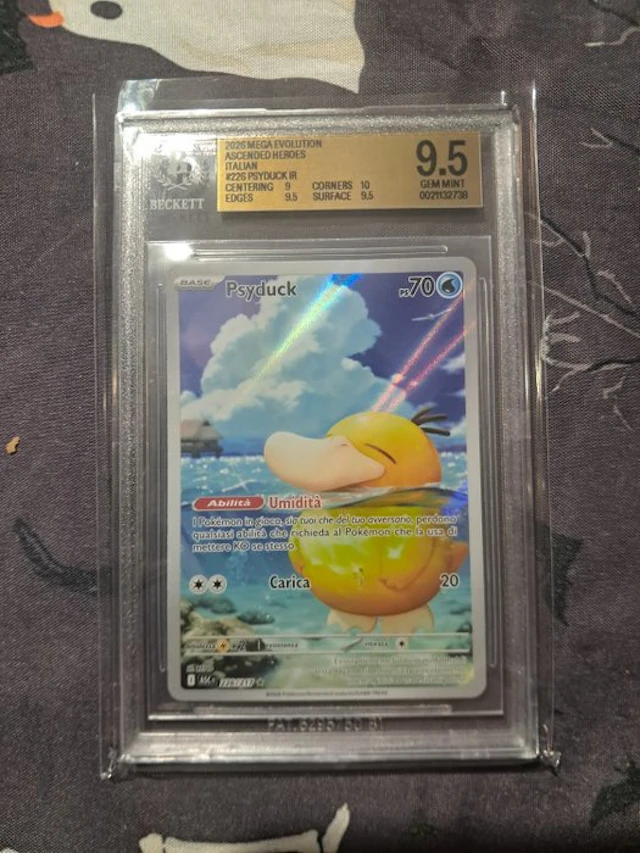 Pokémon - 1 Graded card - Psyduck 226 Foil - Beckett 9.5 - Mega Evolution
