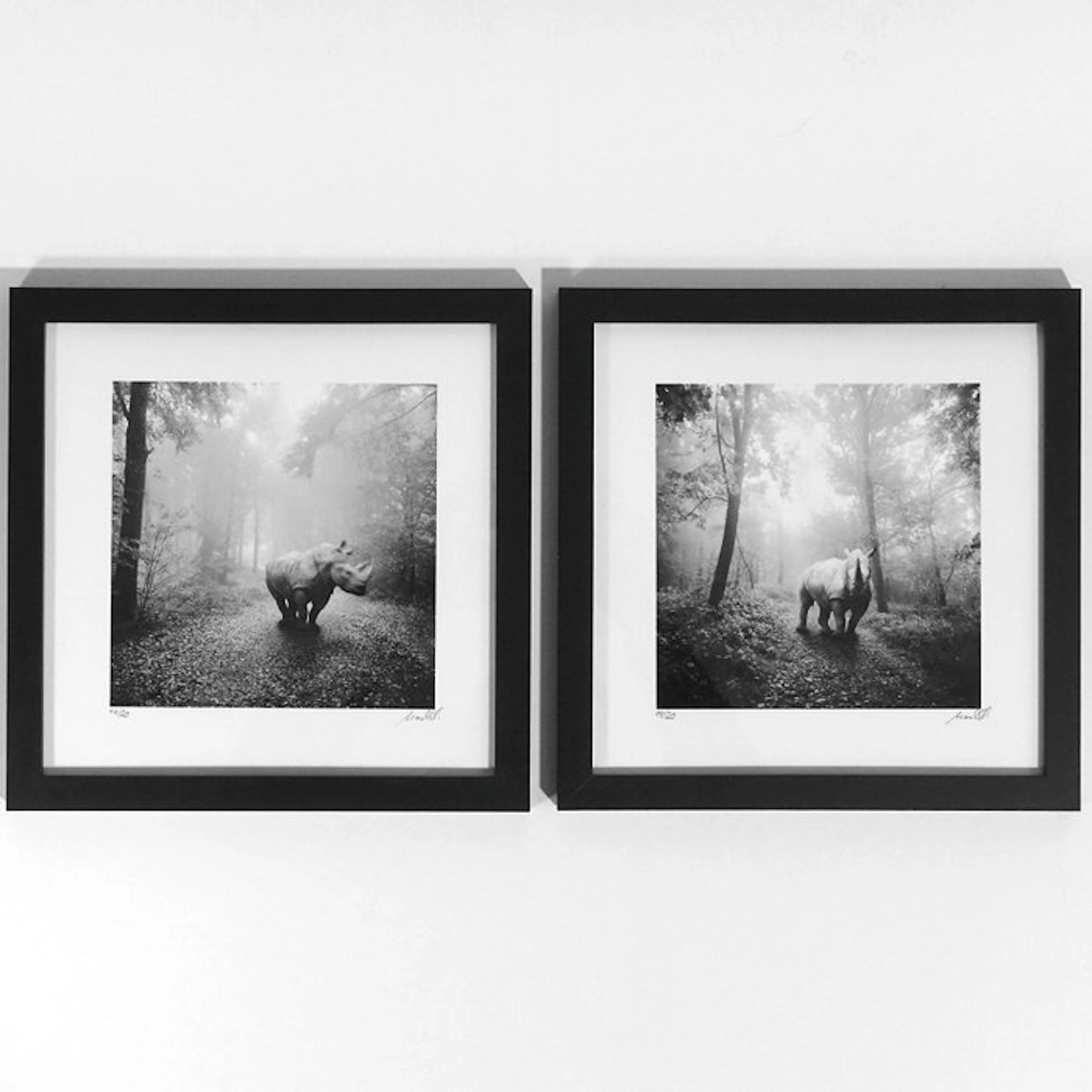 Frank Machalowski - Two framed photographs from the series 'tierwald'