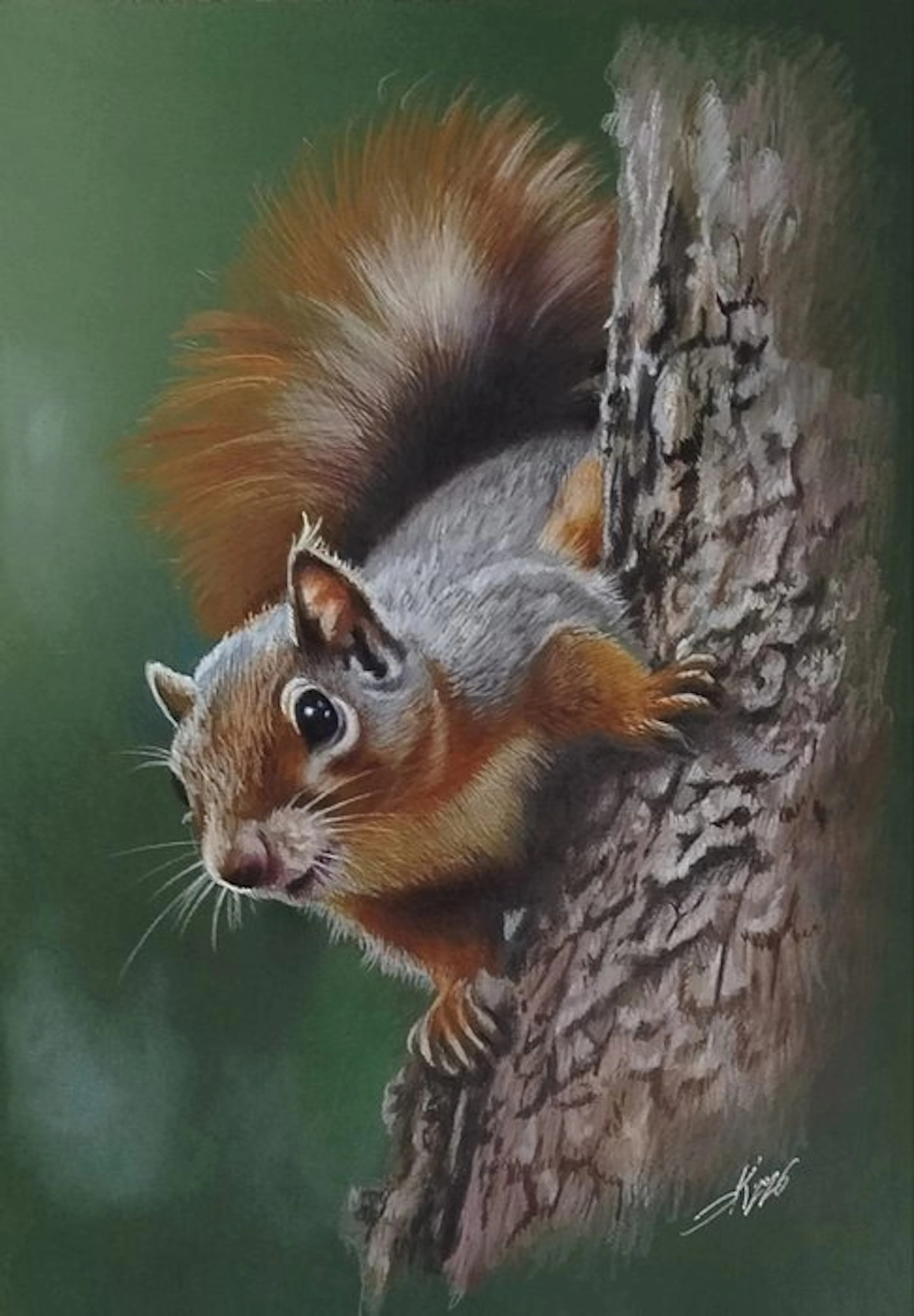 Yevhen Karpenko - Squirrel