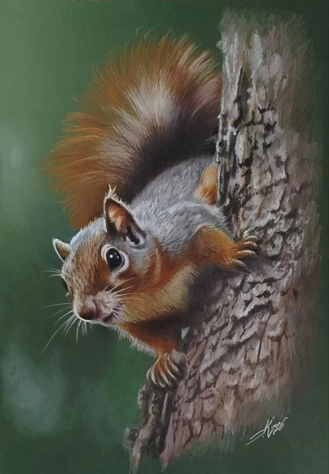 Yevhen Karpenko - Squirrel