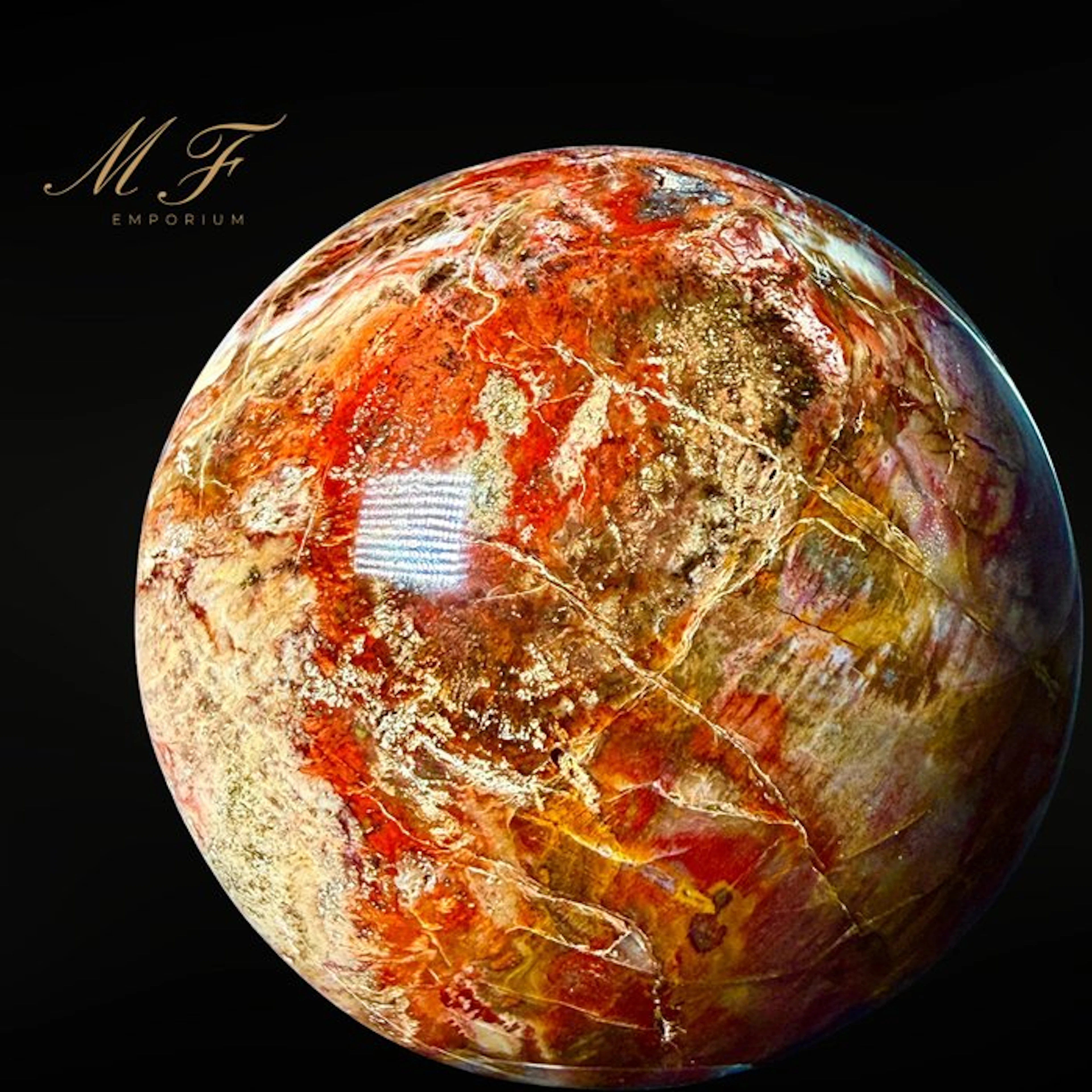 Petrified Wood Sculpture Sphere - Height: 65 mm - Width: 65 mm- 820 g - (1)