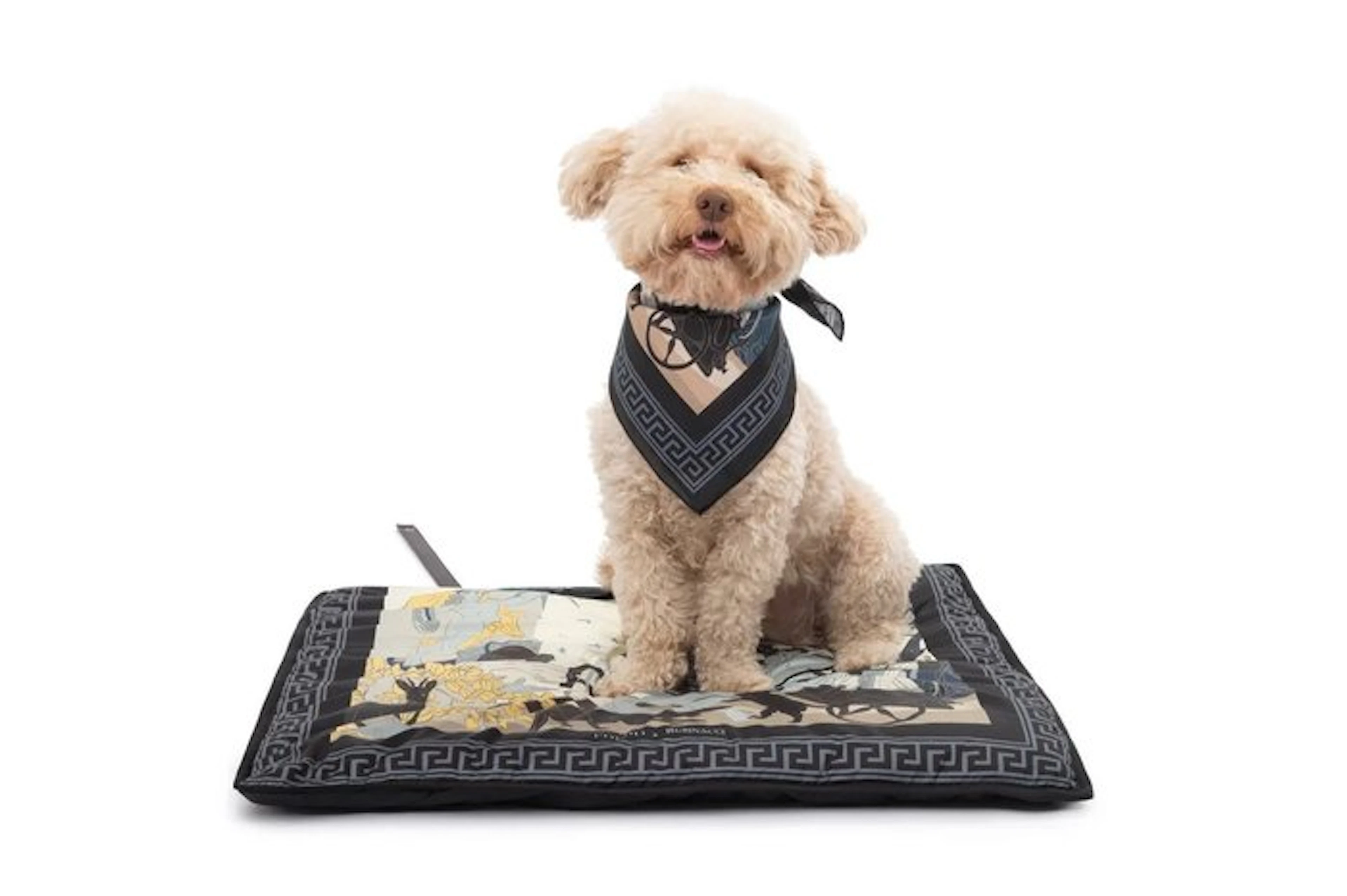 POLDO X RUBINACCI Portable Bed + Leather 70 x 50 cm - Pet accessory