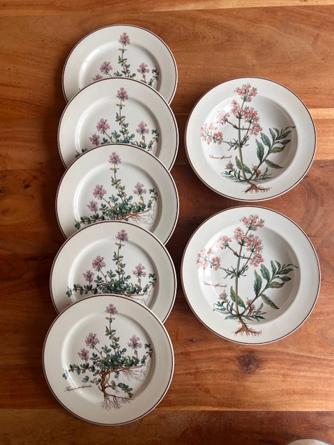 Villeroy & Boch - Table service (7) - Botanica - Porcelain