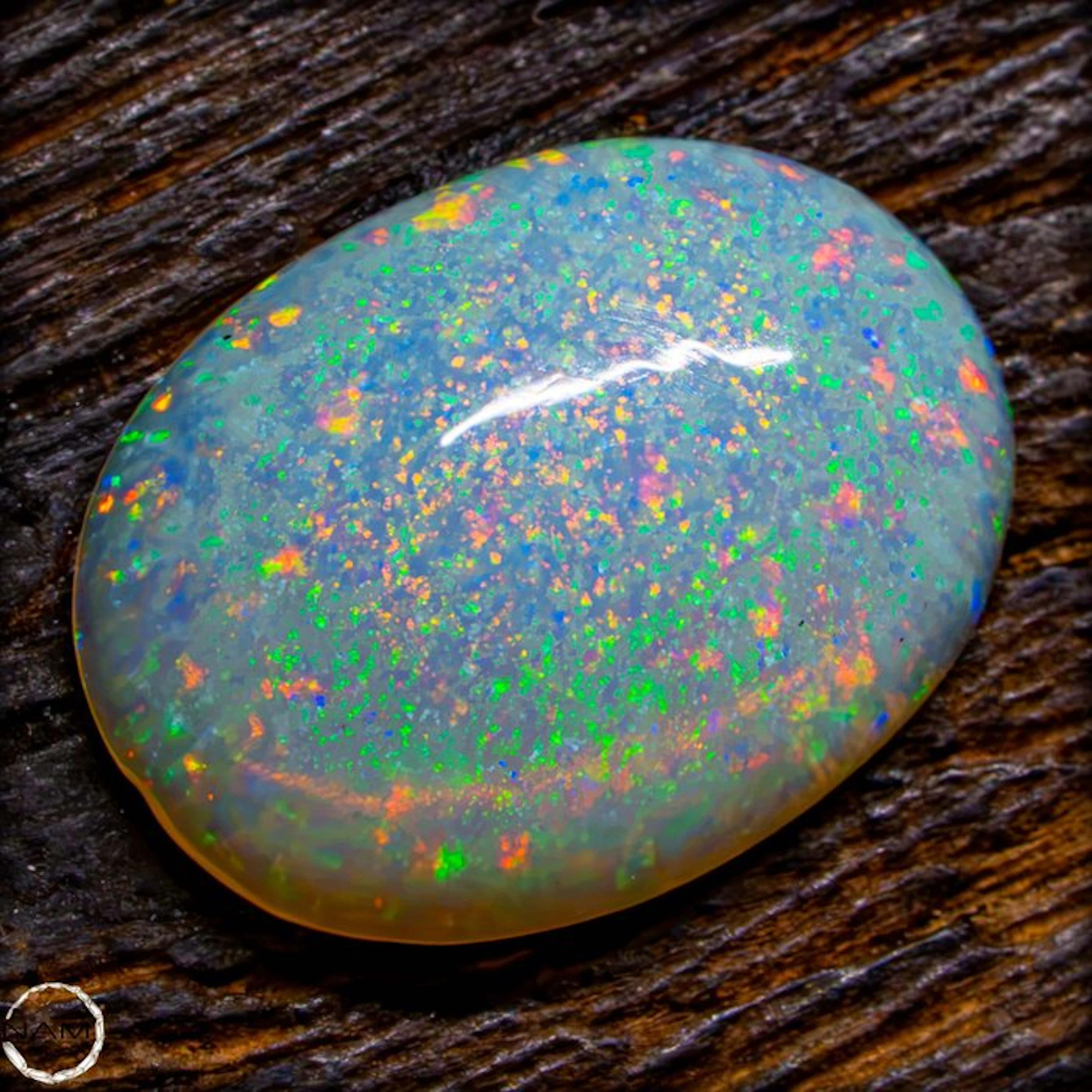 Black Opal Cabochon – A Fine Spectrum of Radiant Colors 5.45- 1.09 g
