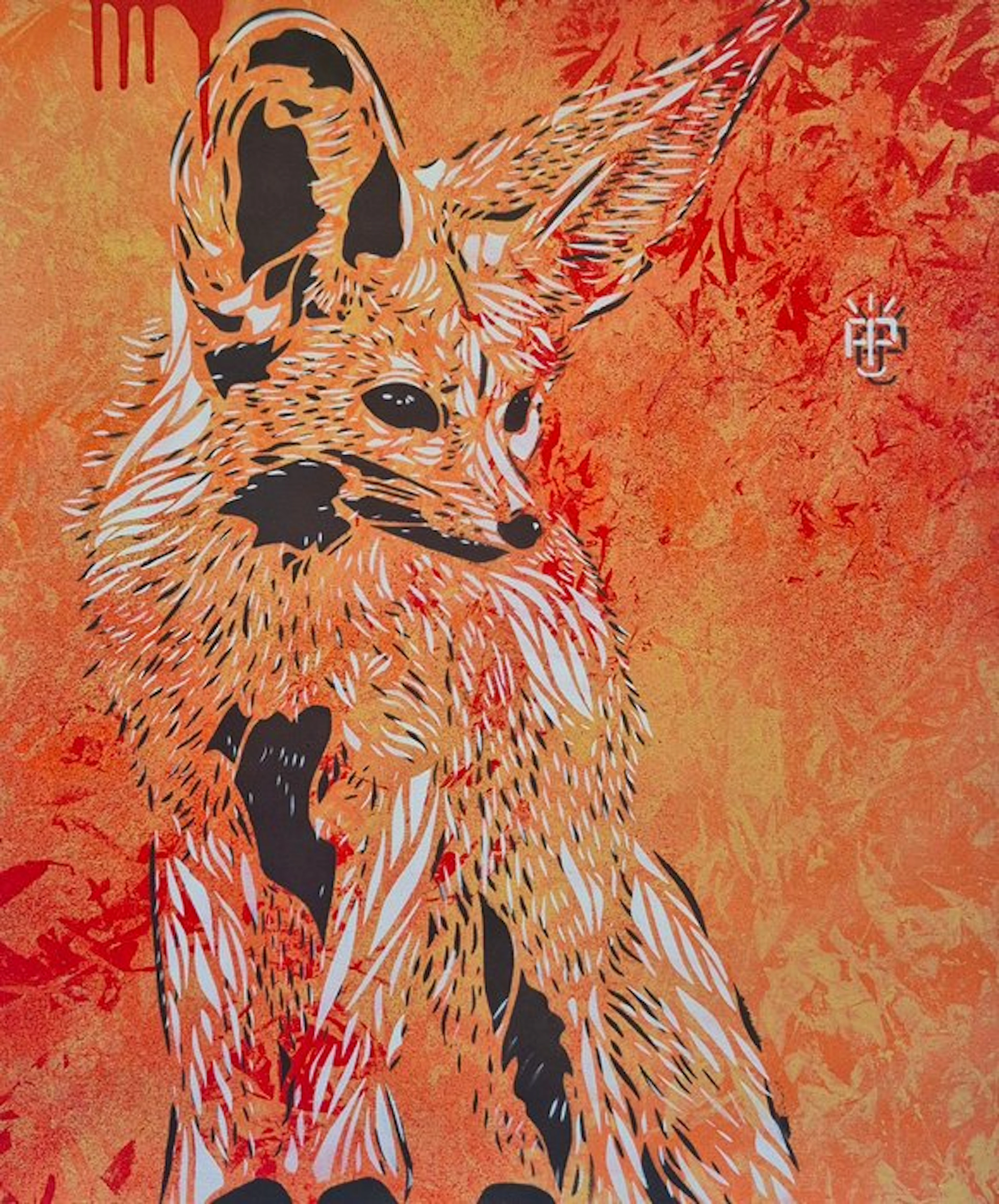 Alexandre Petrus (1988) - LE FENNEC