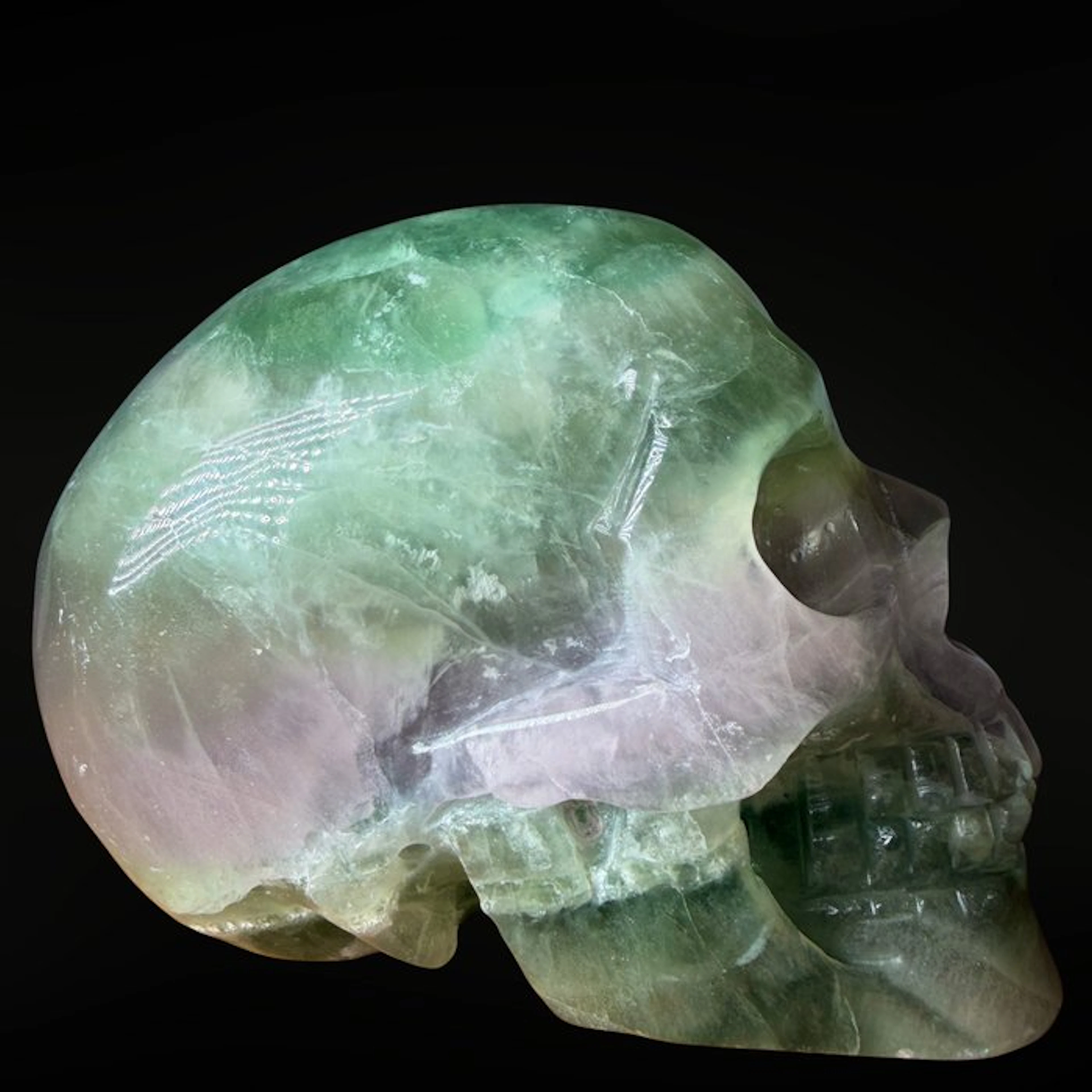 Premium Fluorite Skull Carving - Height: 80 mm - Width: 100 mm- 1000 g - (1)