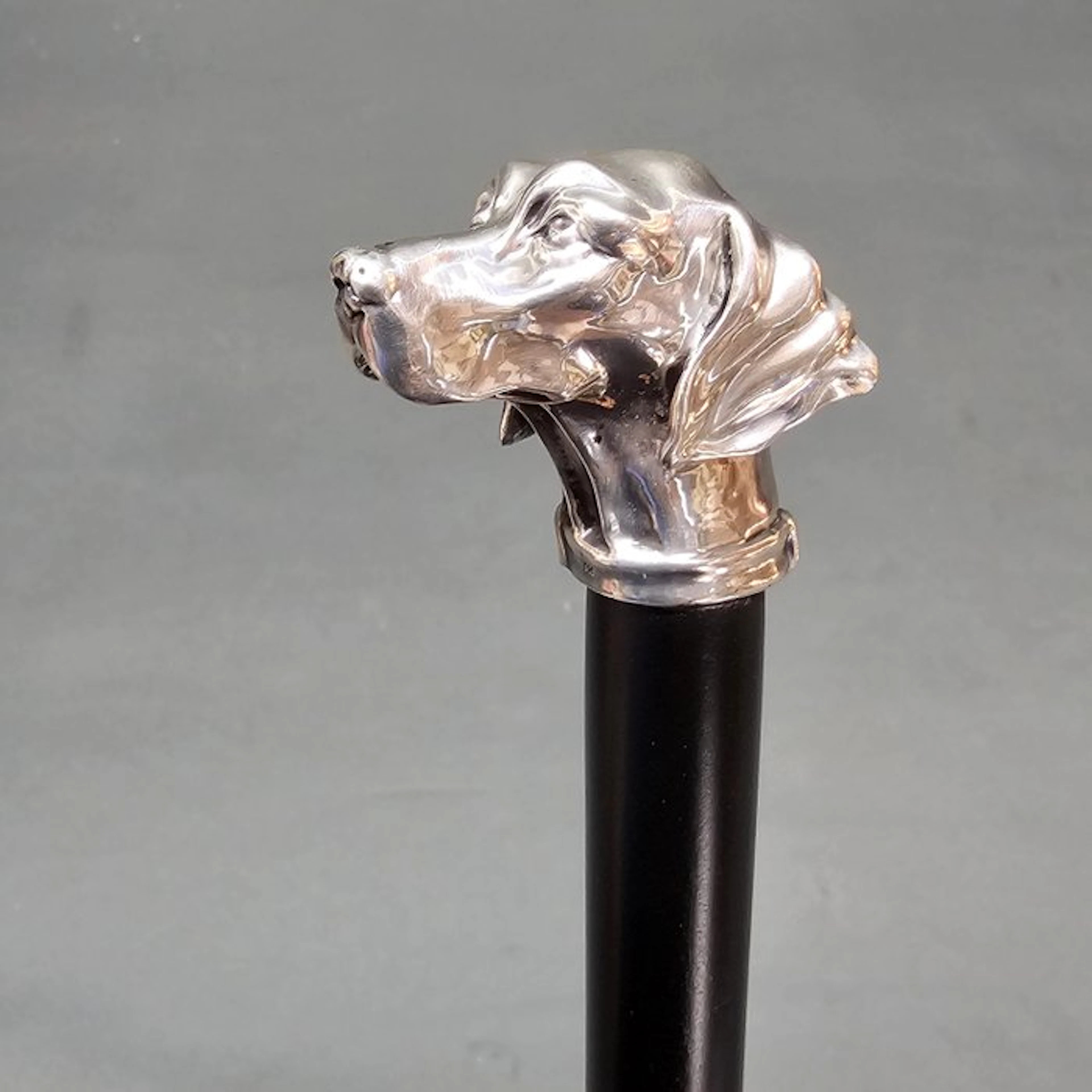 Walking stick - Wood, Silver - Walking cane, sterling silver