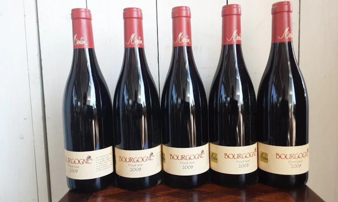 2008 Merlin Bourgogne Pinot noir - Burgundy - 5 Bottle (0.75L)
